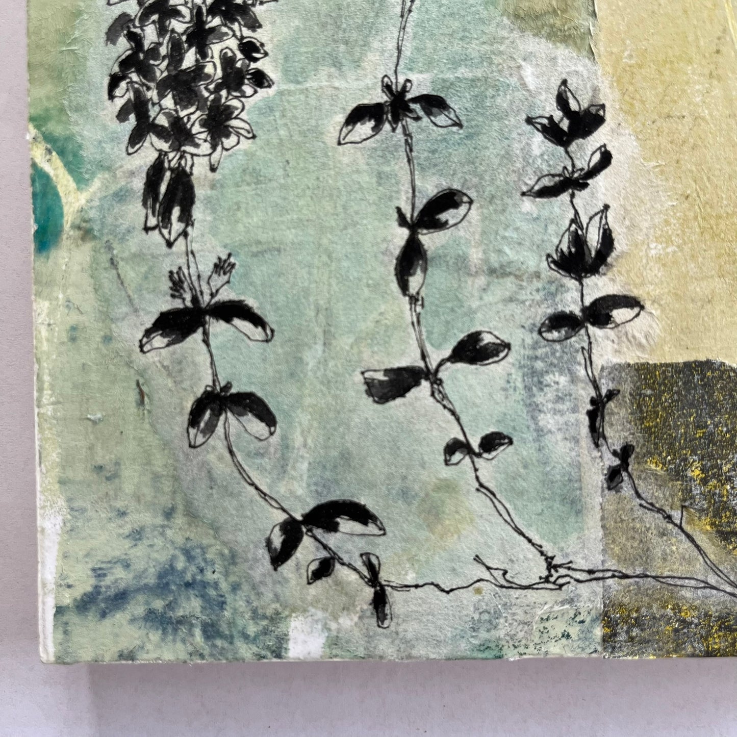Wild Thyme