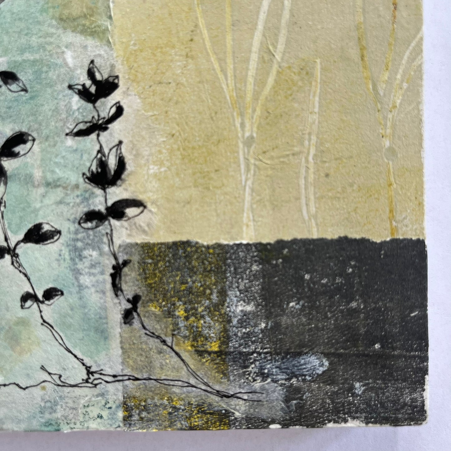 Wild Thyme