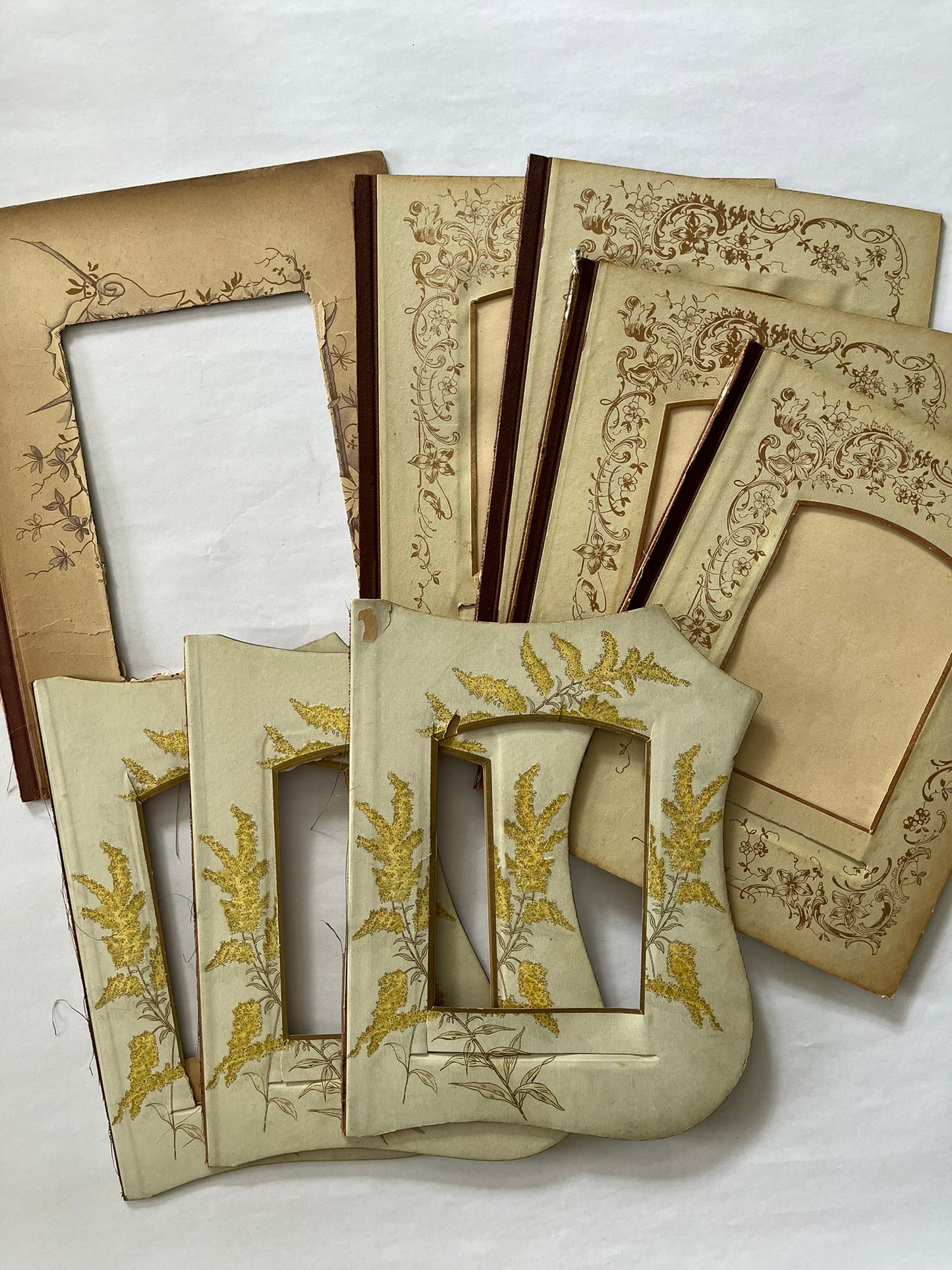 Bundle of large vintage photo album pages