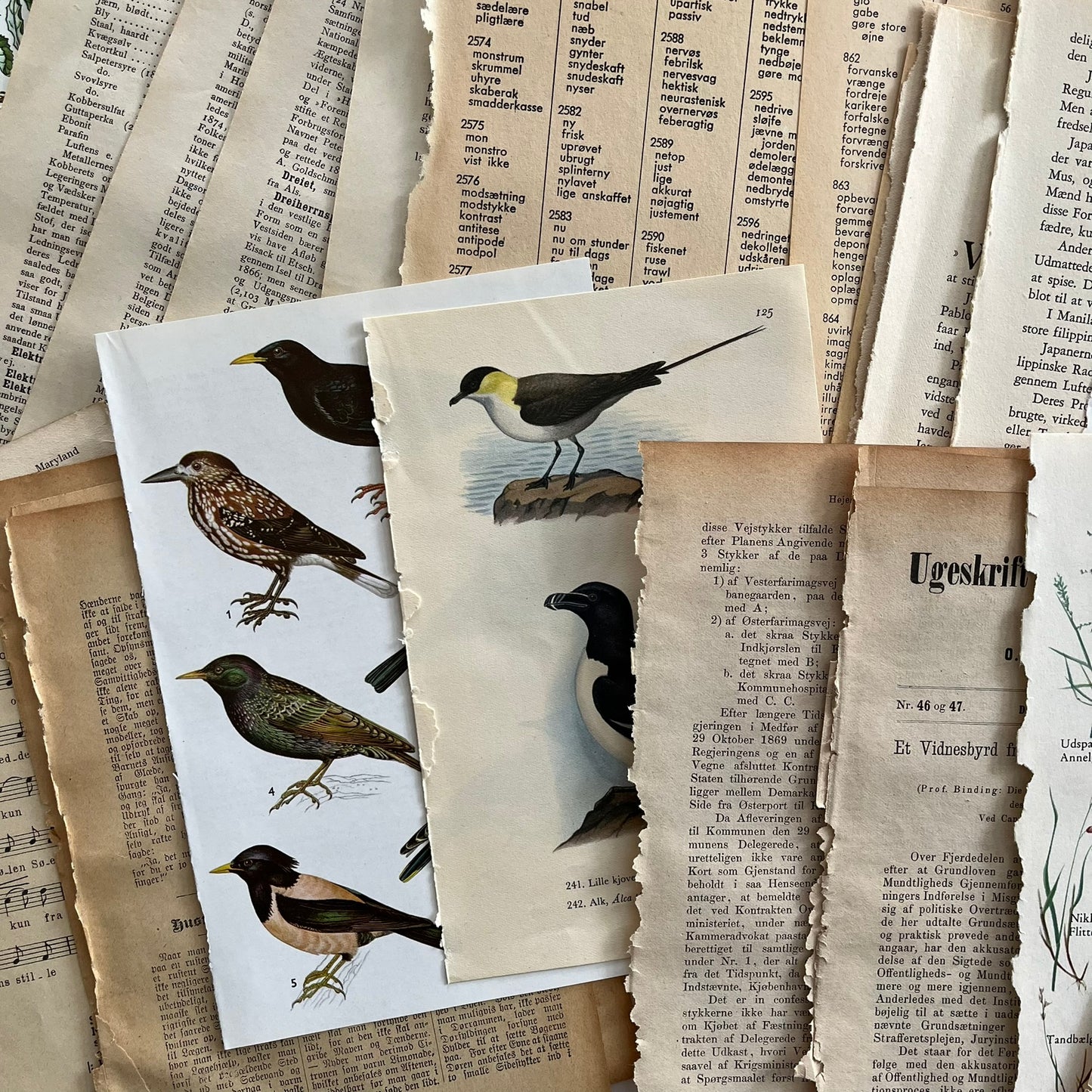 Prærie Karavanen - Art journal kit
