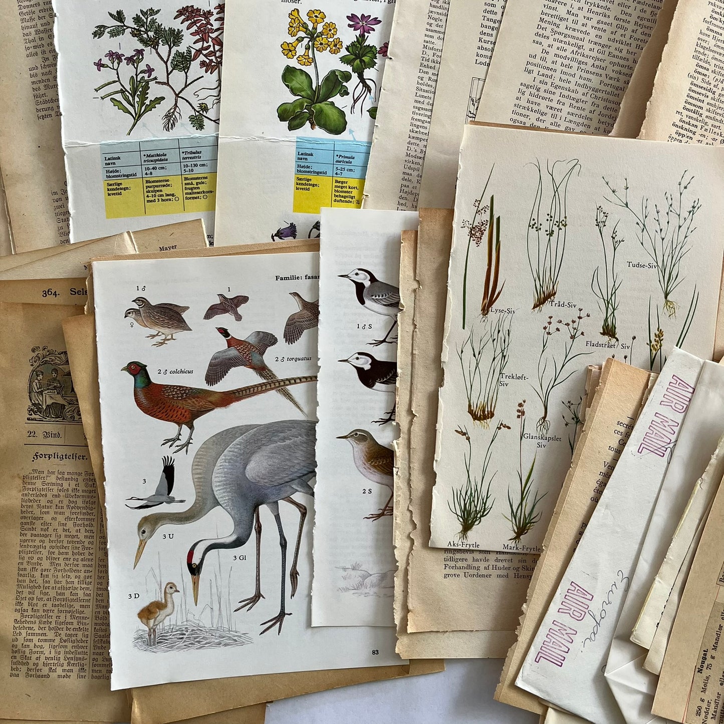 Prærie Karavanen - Art journal kit