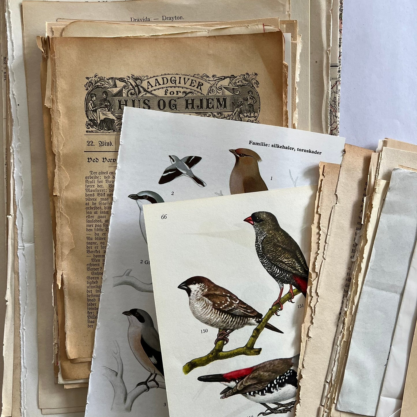 Prærie Karavanen - Art journal kit