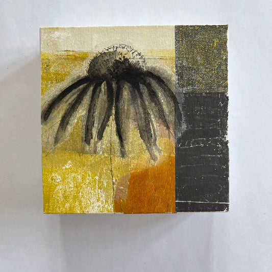 Coneflower