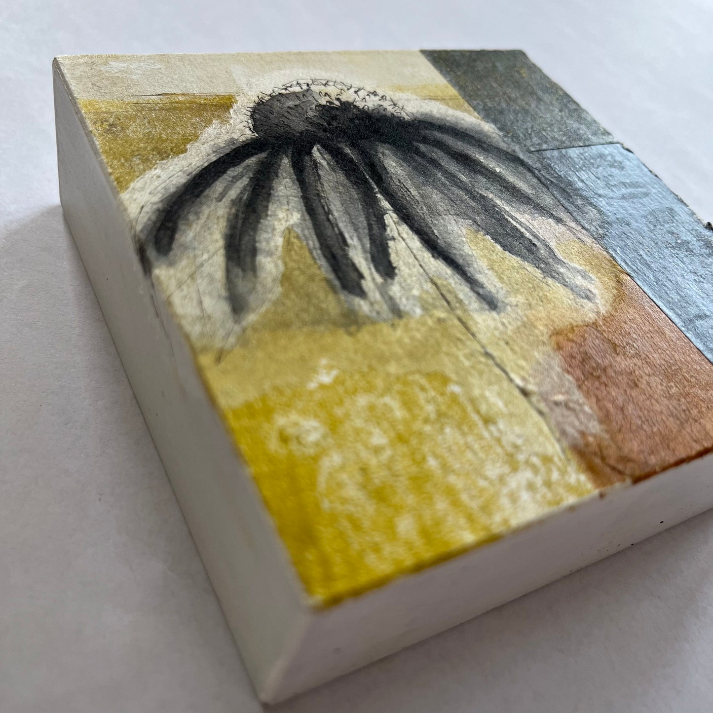 Coneflower
