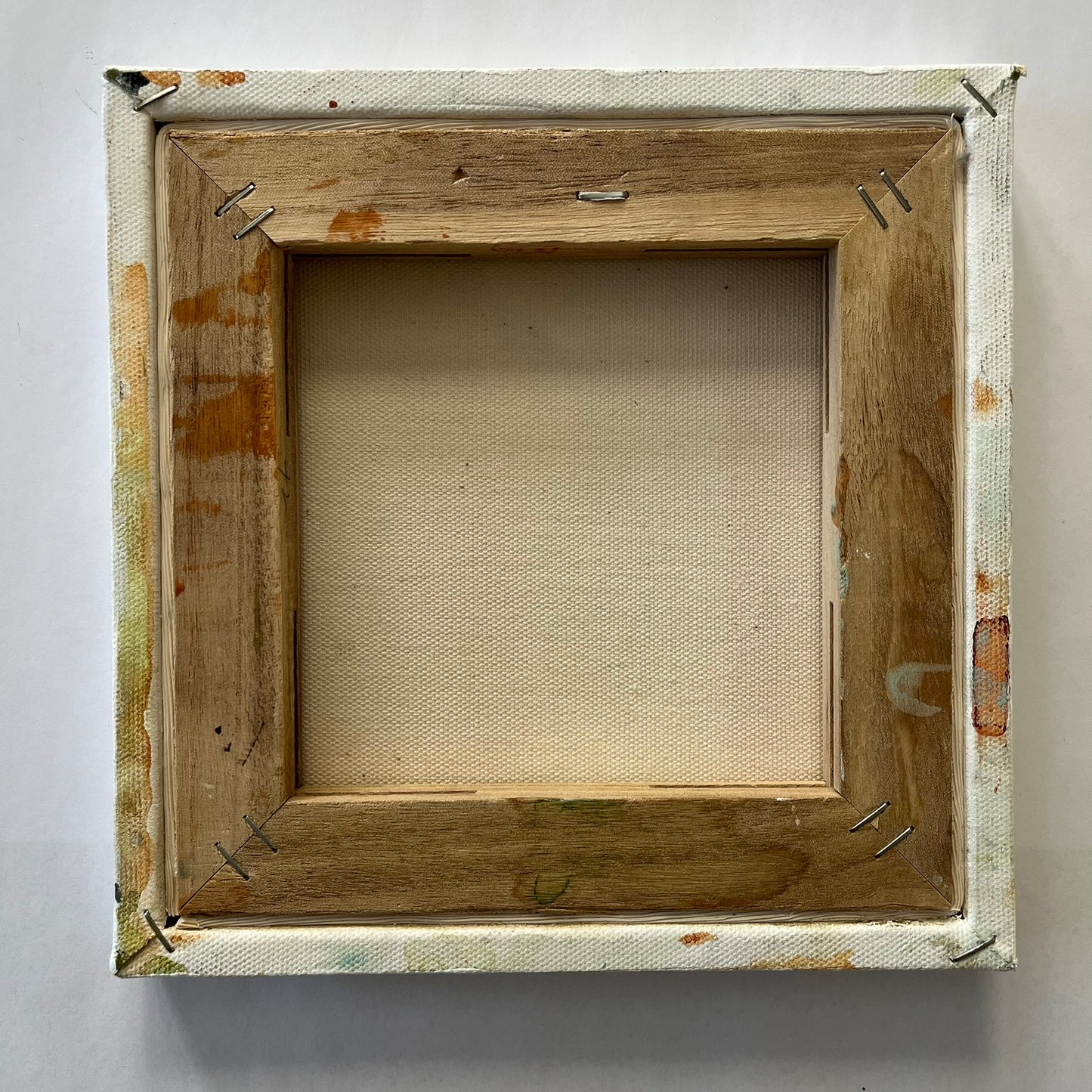 still life with coneflower