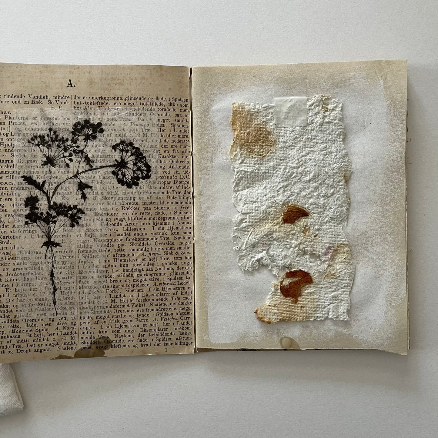 Field Note Sketchbook no. 2