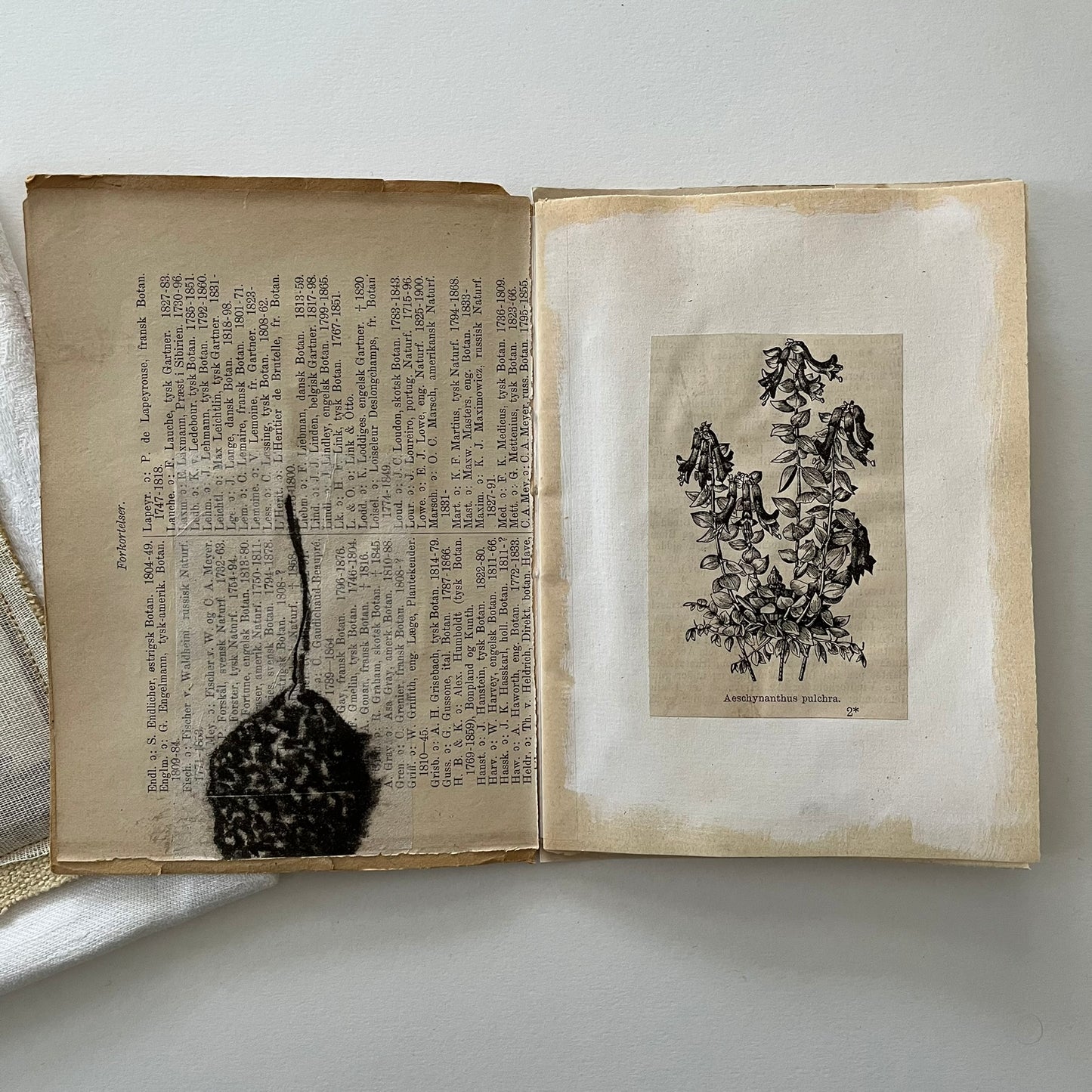 Field Note Sketchbook no. 3