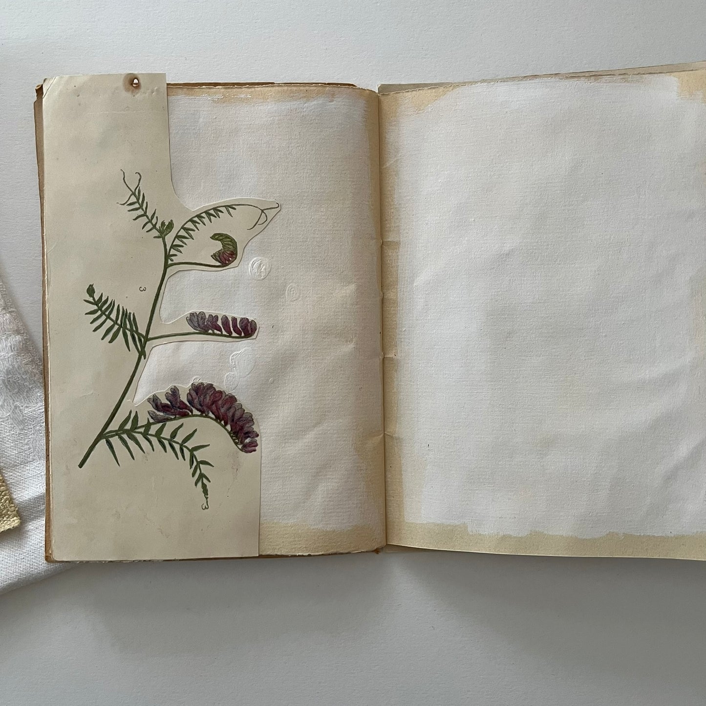 Field Note Sketchbook no. 3