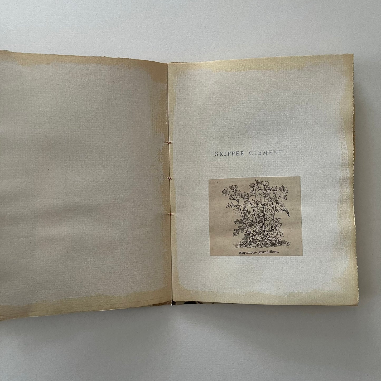 Field Note Sketchbook no. 4