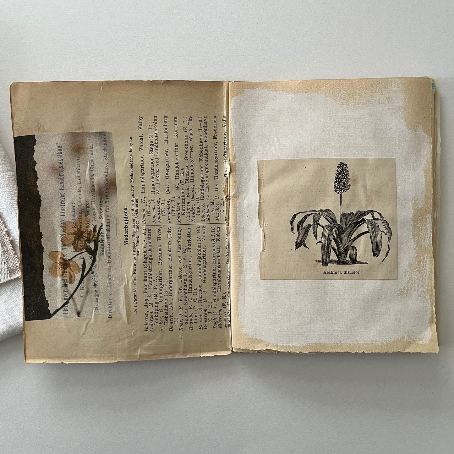 Field Note Sketchbook no. 5