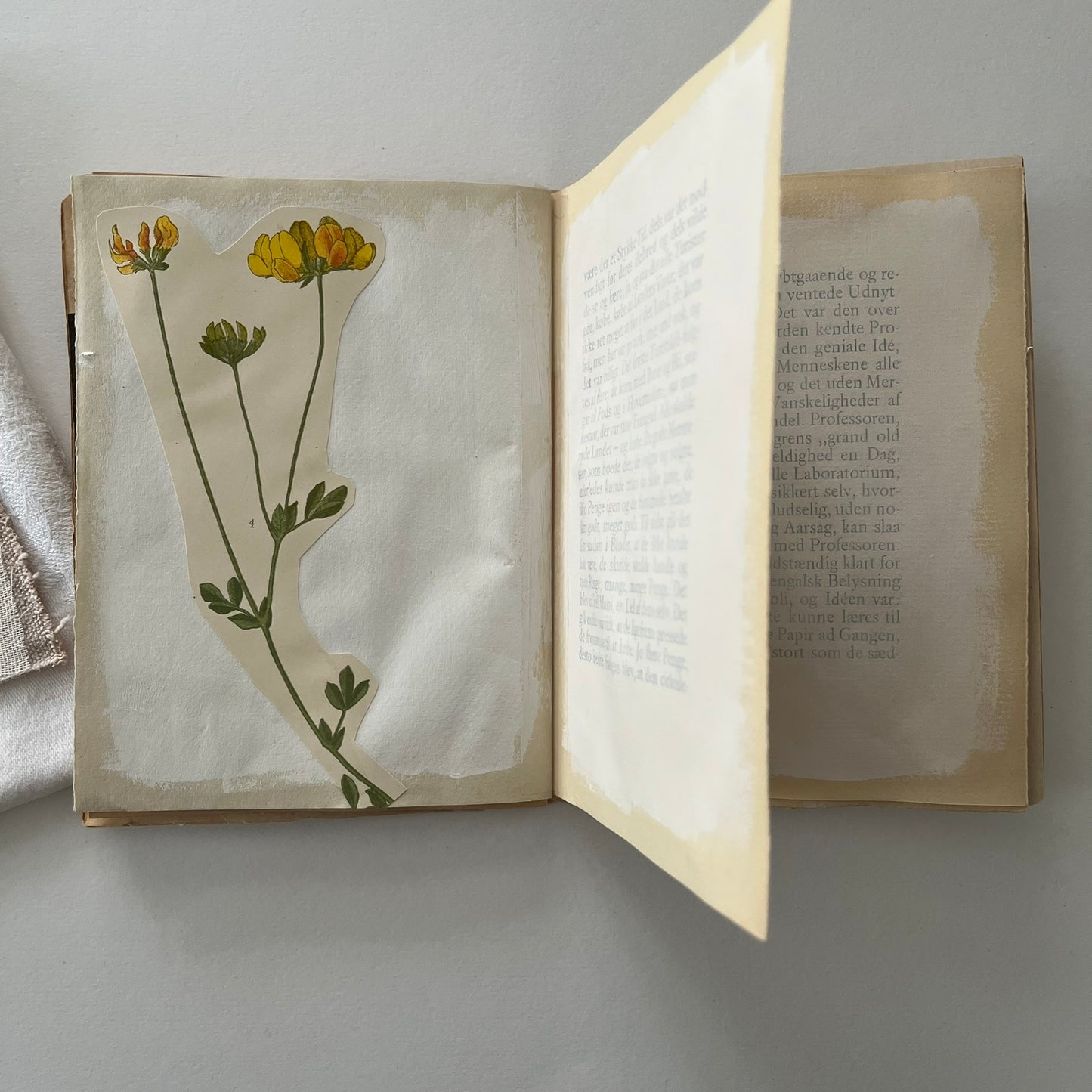 Field Note Sketchbook no. 5