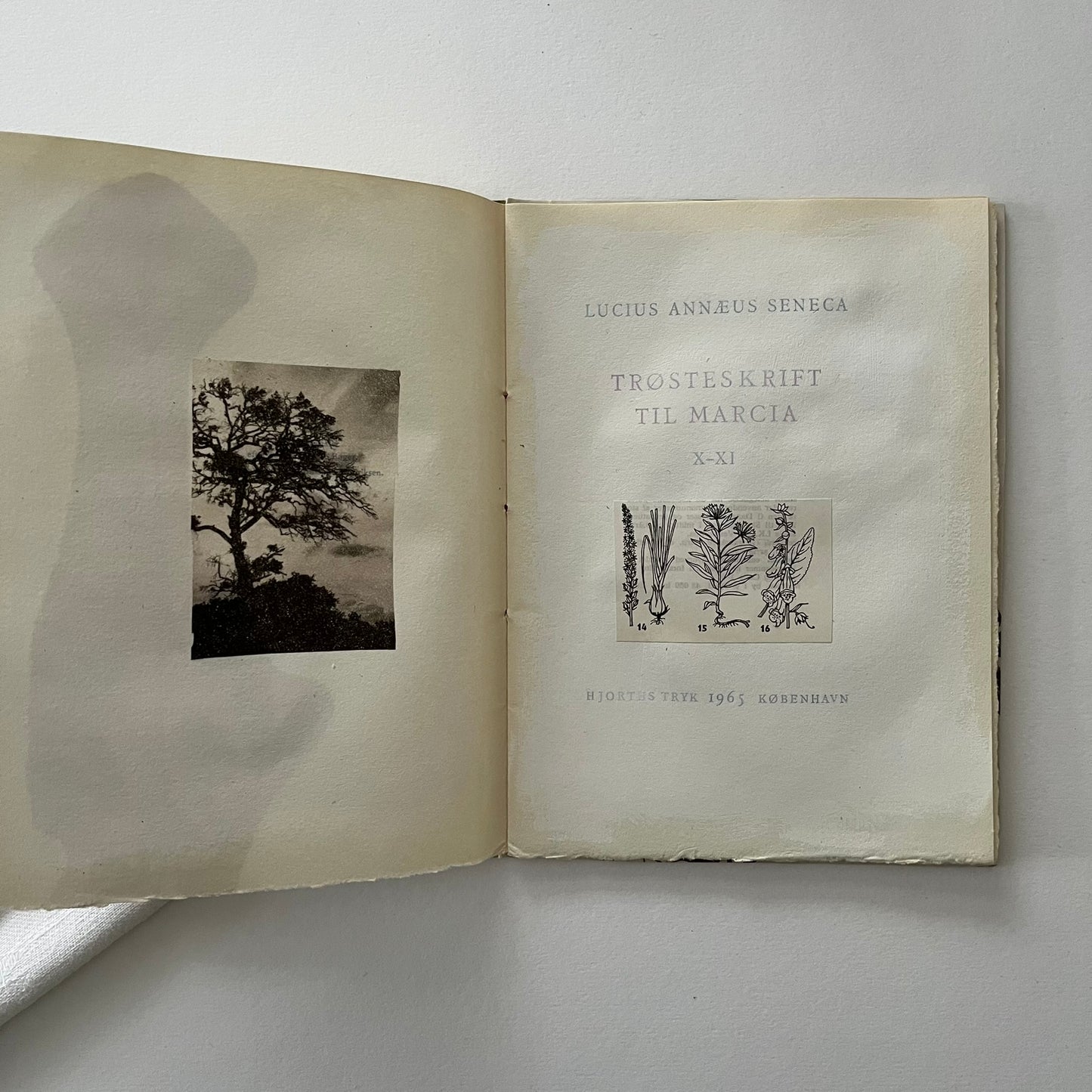 Field Note Sketchbook no. 6