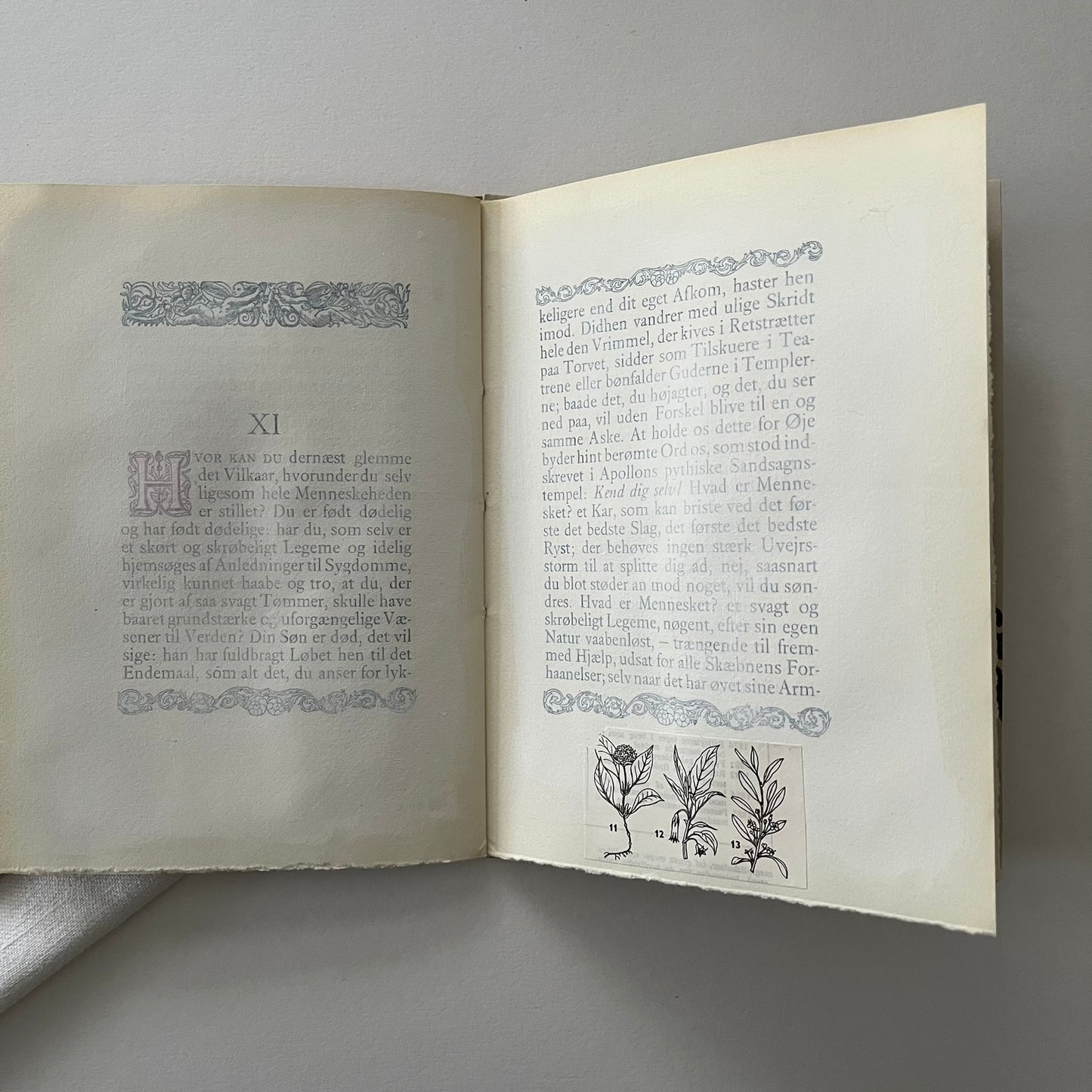 Field Note Sketchbook no. 6