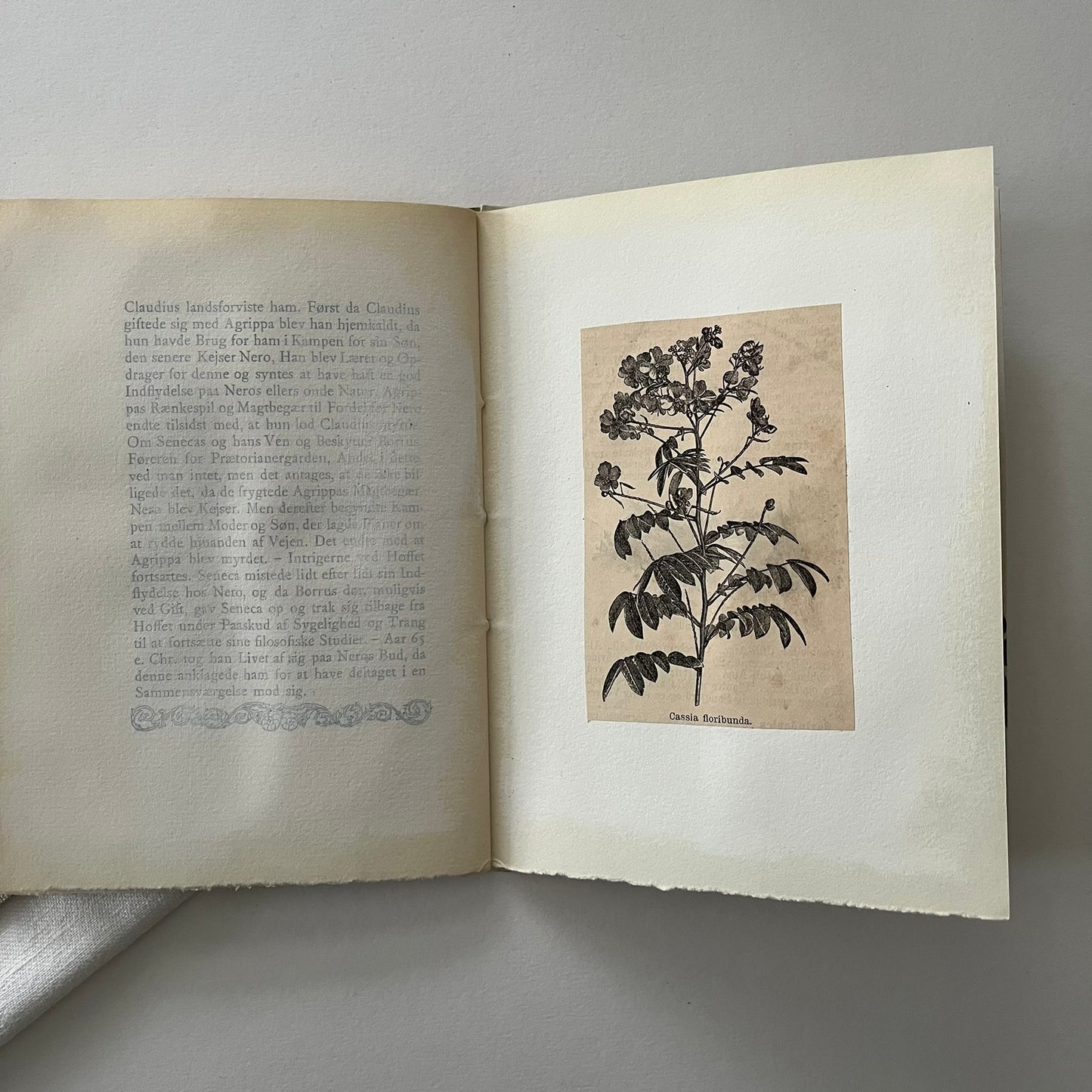 Field Note Sketchbook no. 6