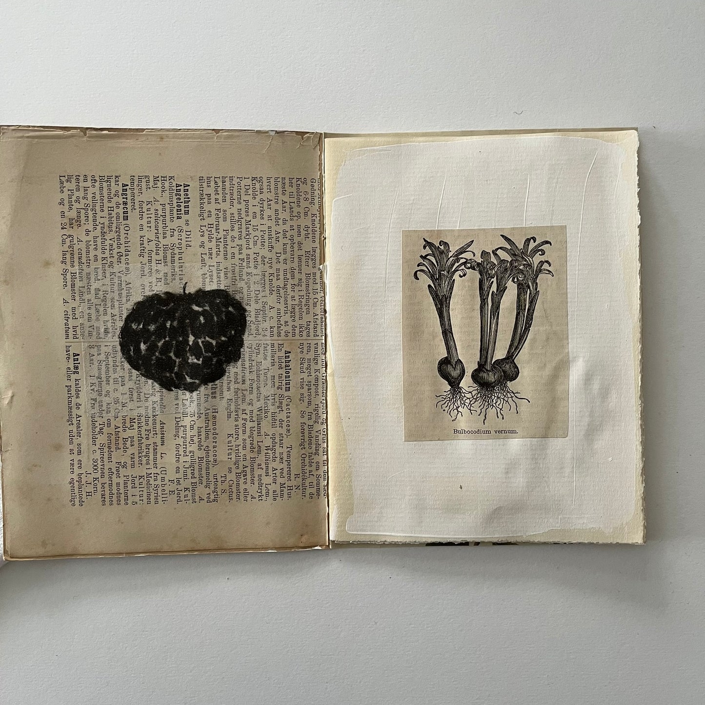 Field Note Sketchbook no. 7