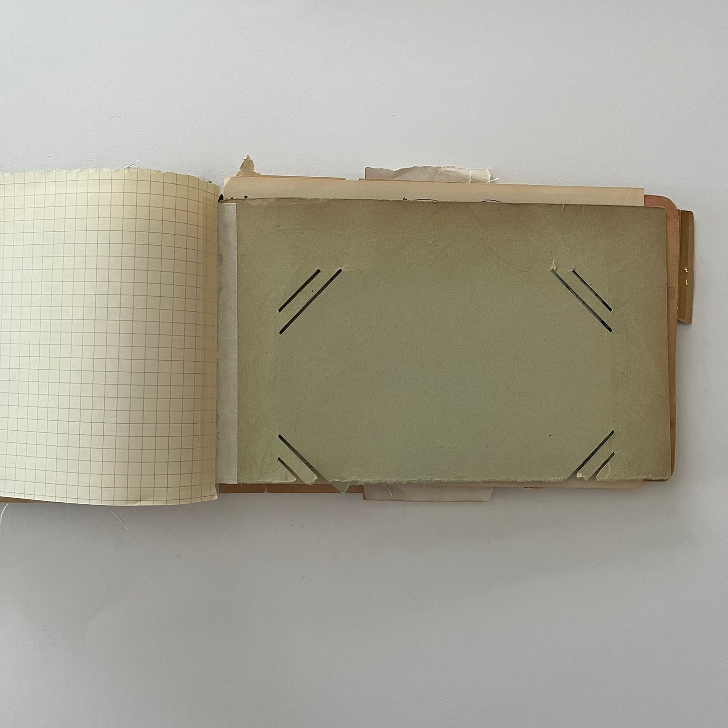 Little garden journal