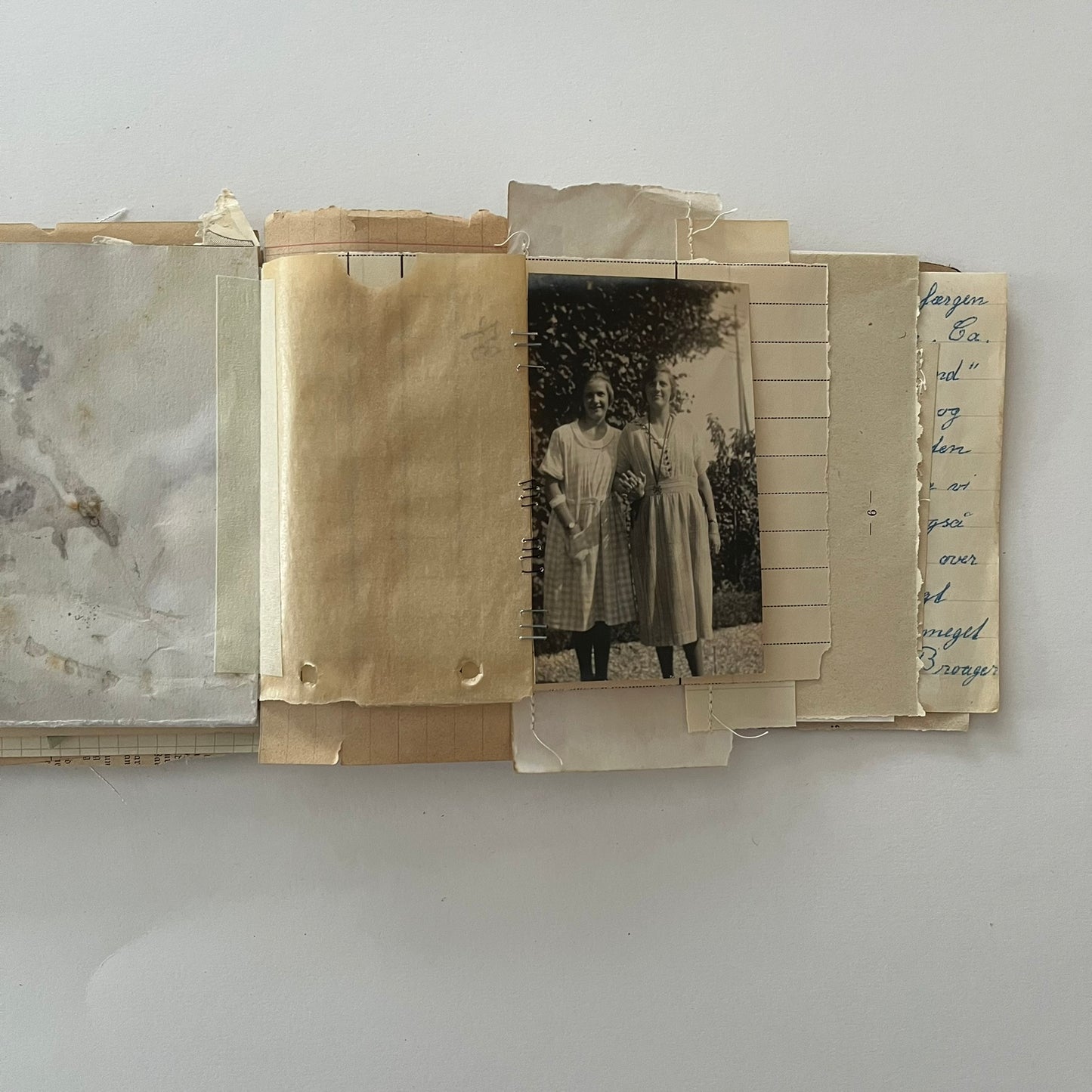 Little garden journal