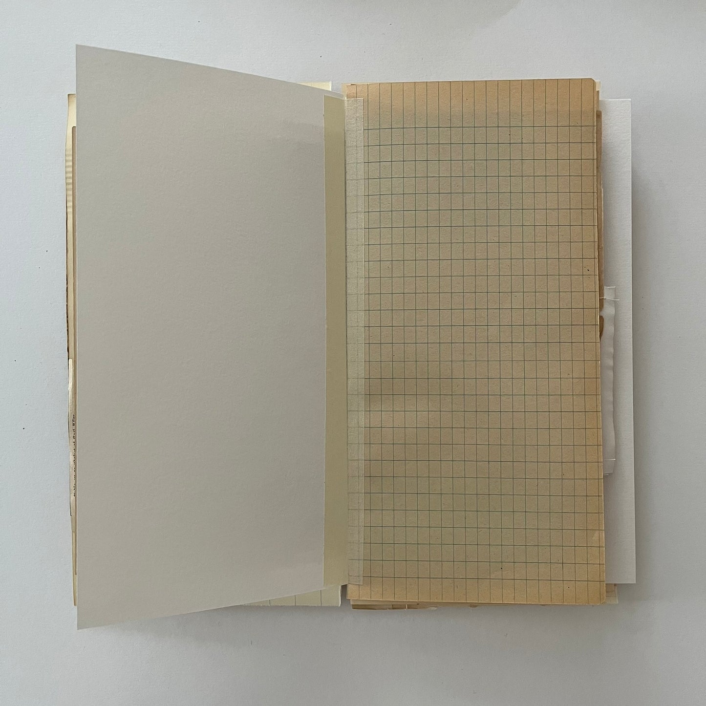 Lady in white blouse