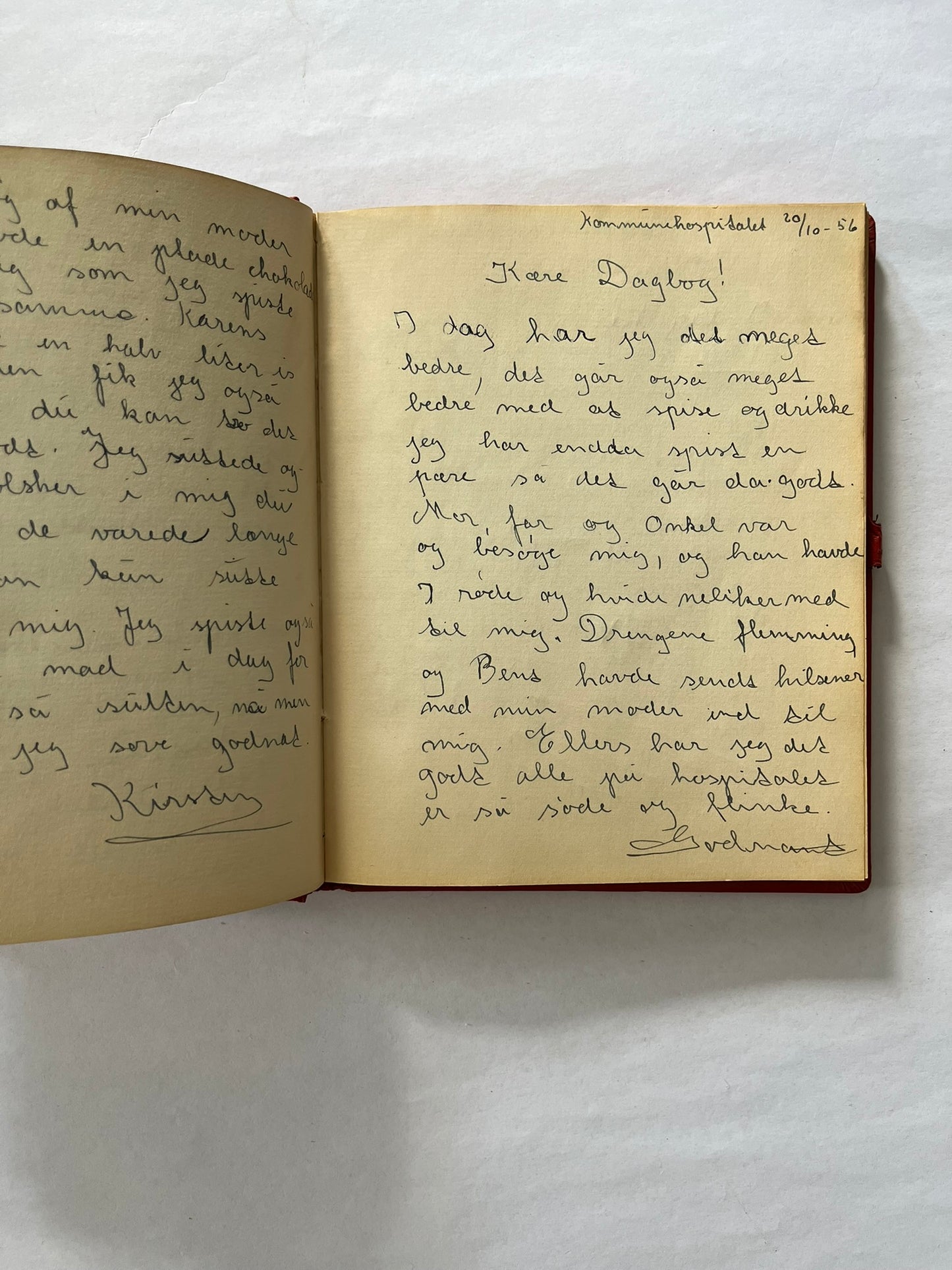 Vintage diary