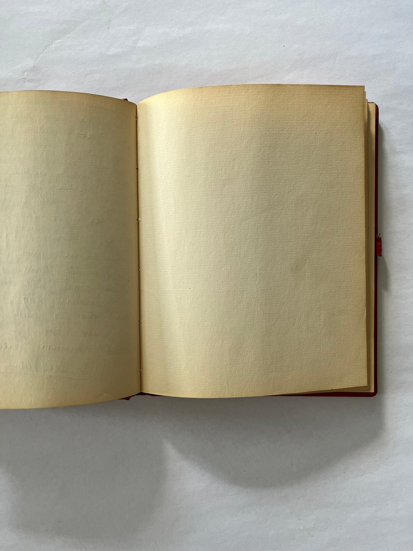 Vintage diary