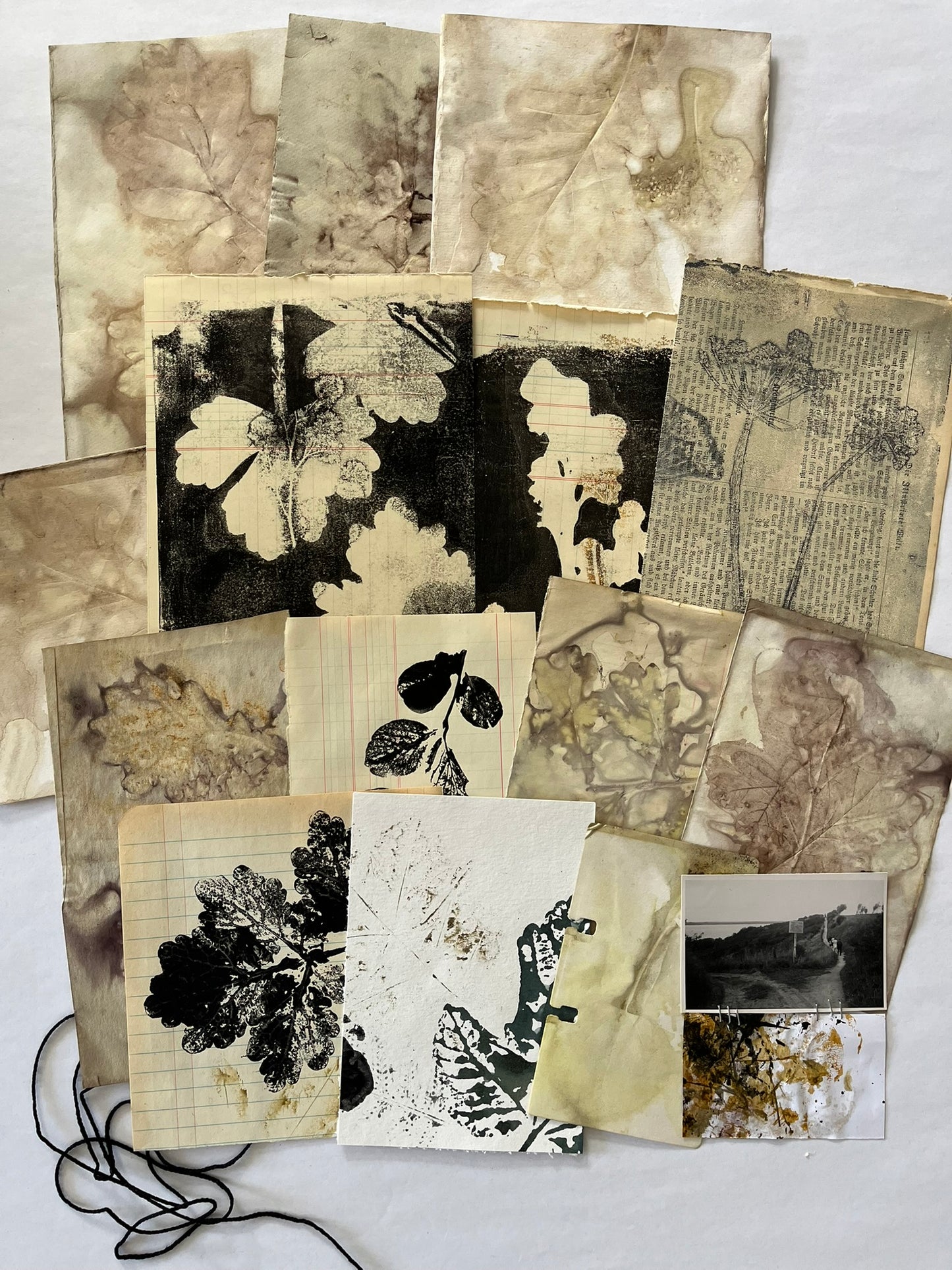 The ecodyed flower paper bundle