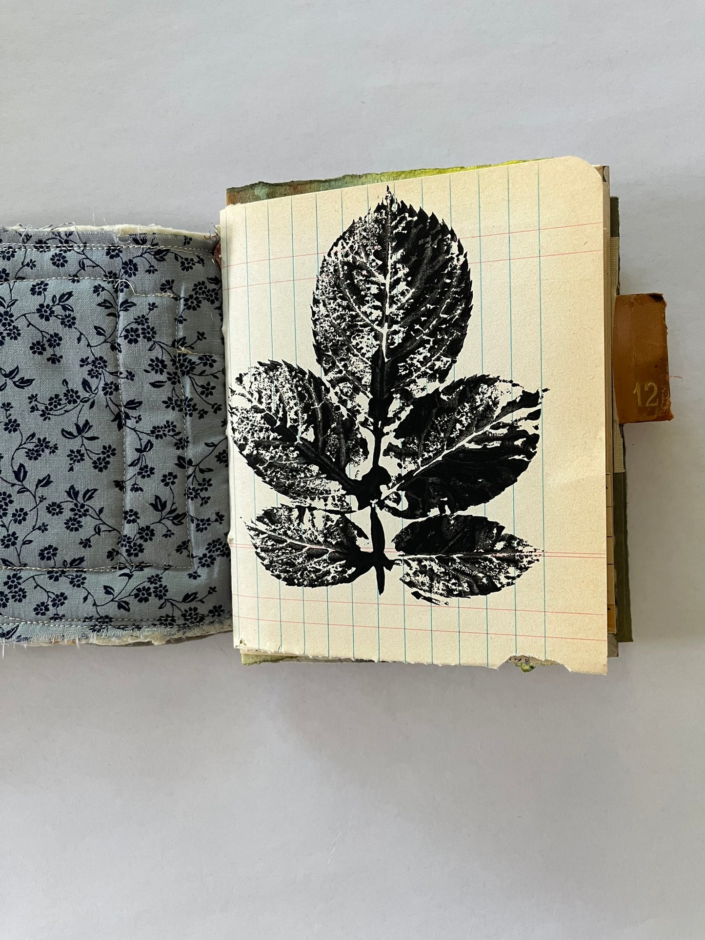 Nature/Garden Journal - no. 1