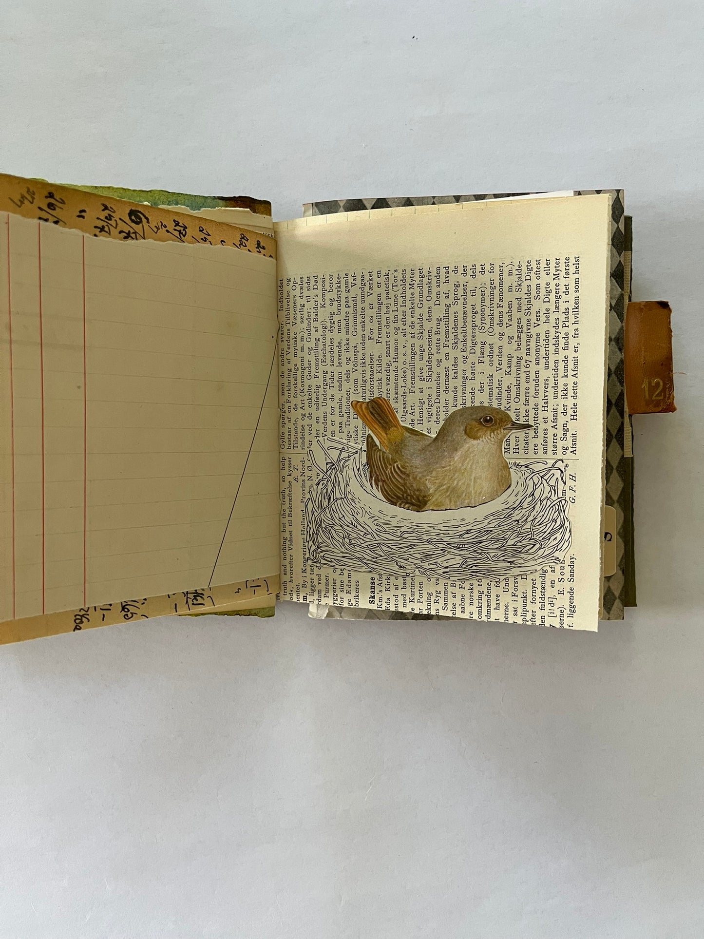 Nature/Garden Journal - no. 1