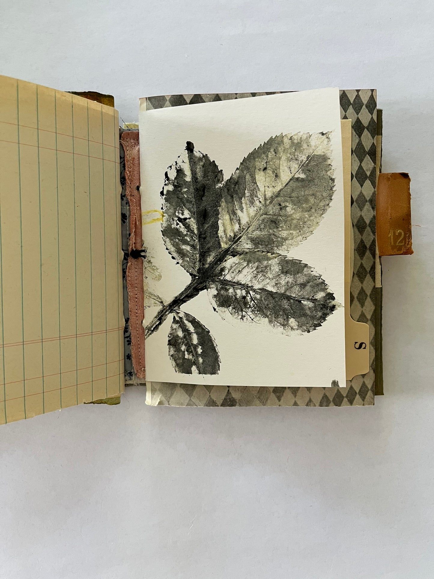 Nature/Garden Journal - no. 1
