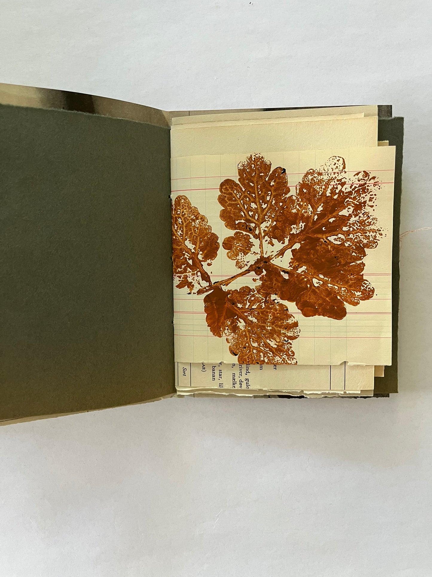 Nature/Garden Journal - no. 1