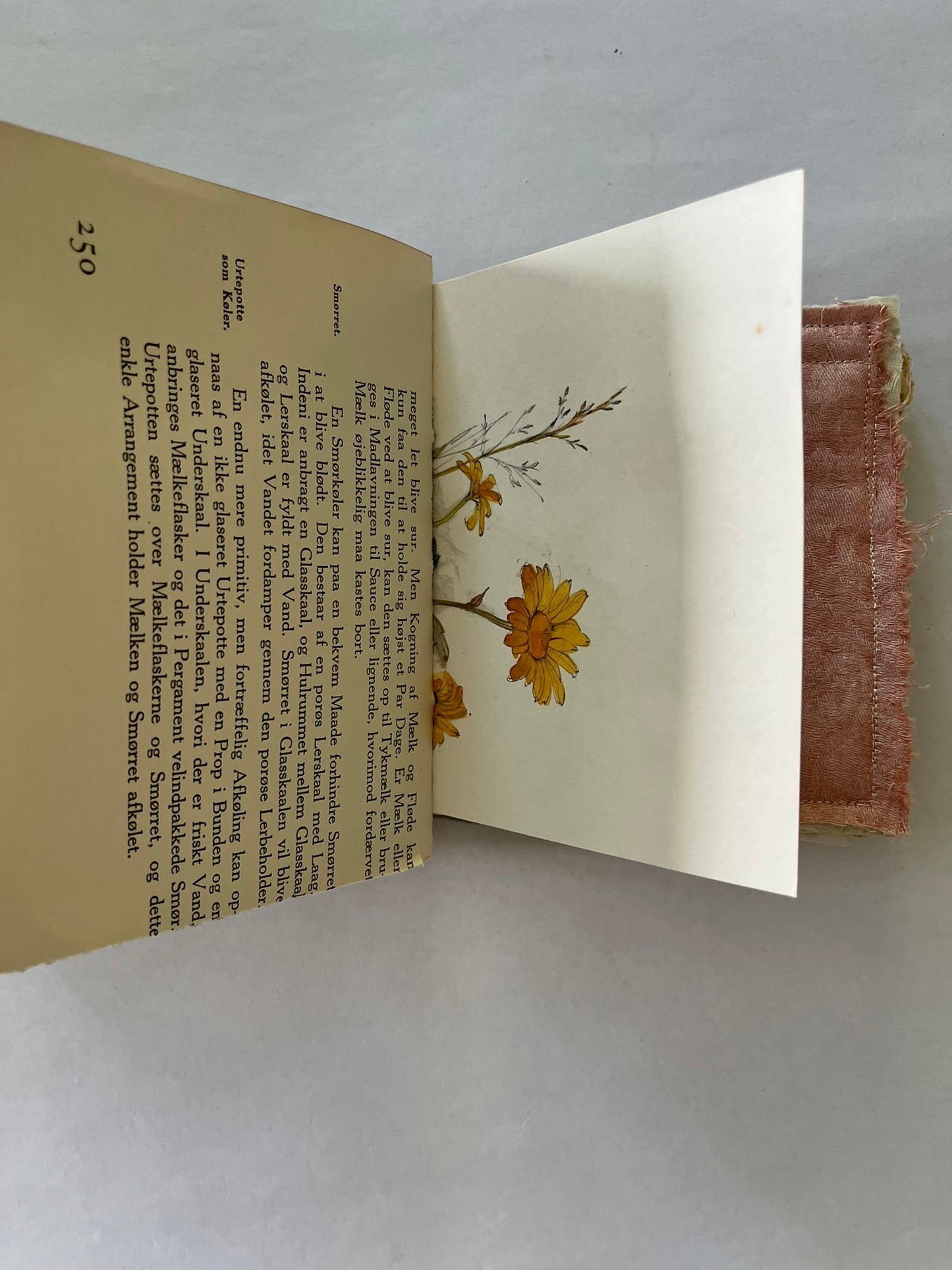 Nature/Garden Journal - no. 1