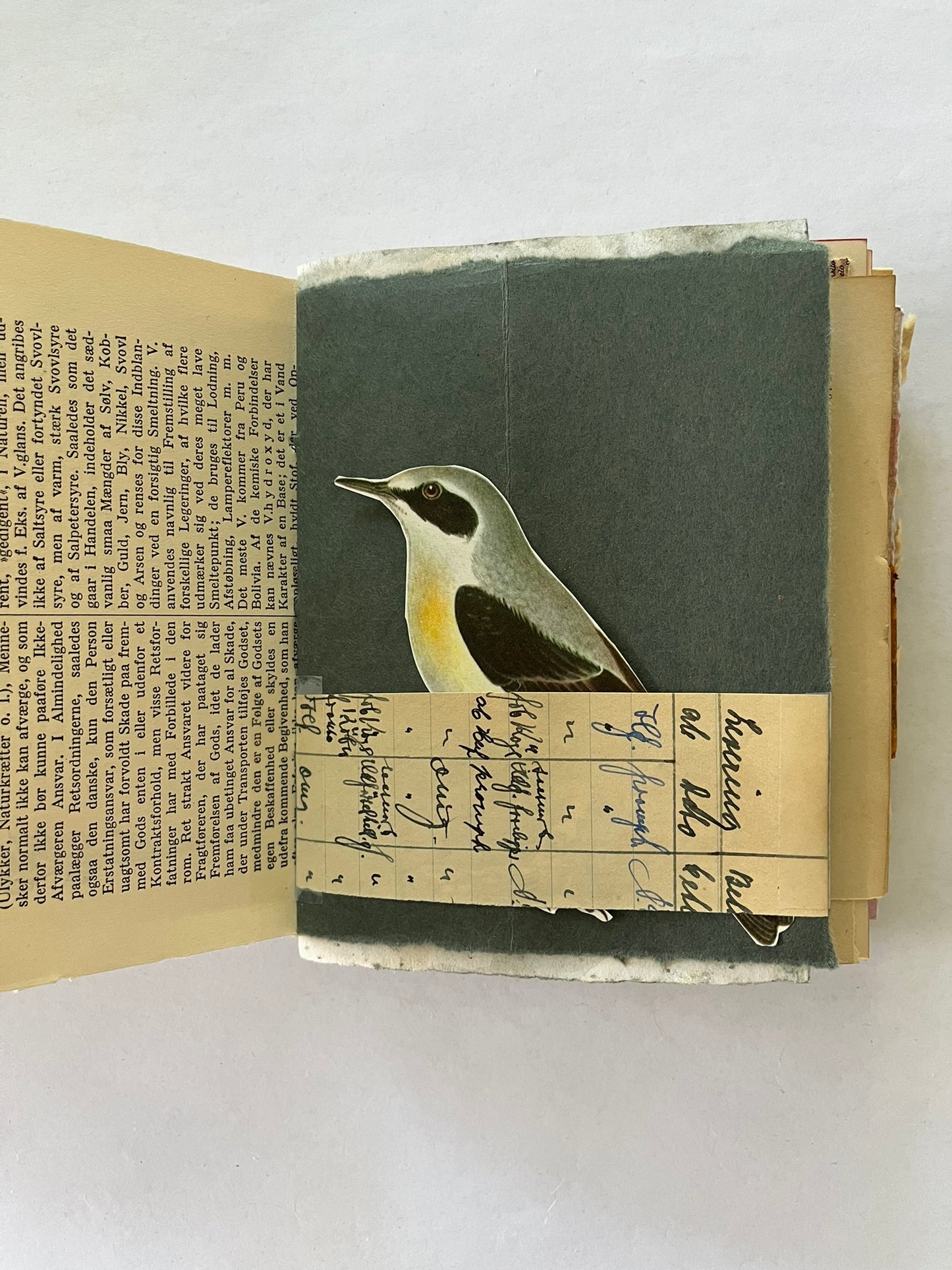 Nature/Garden Journal - no. 2