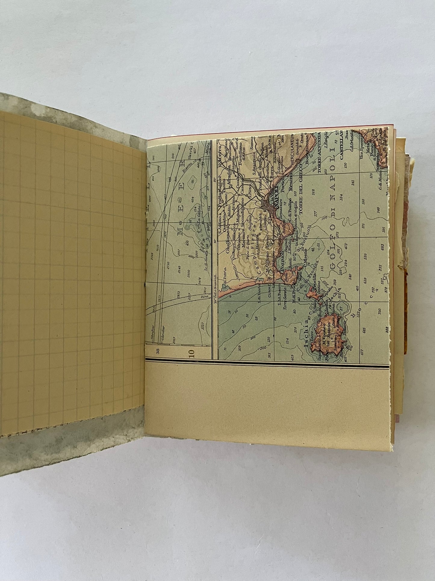 Nature/Garden Journal - no. 2