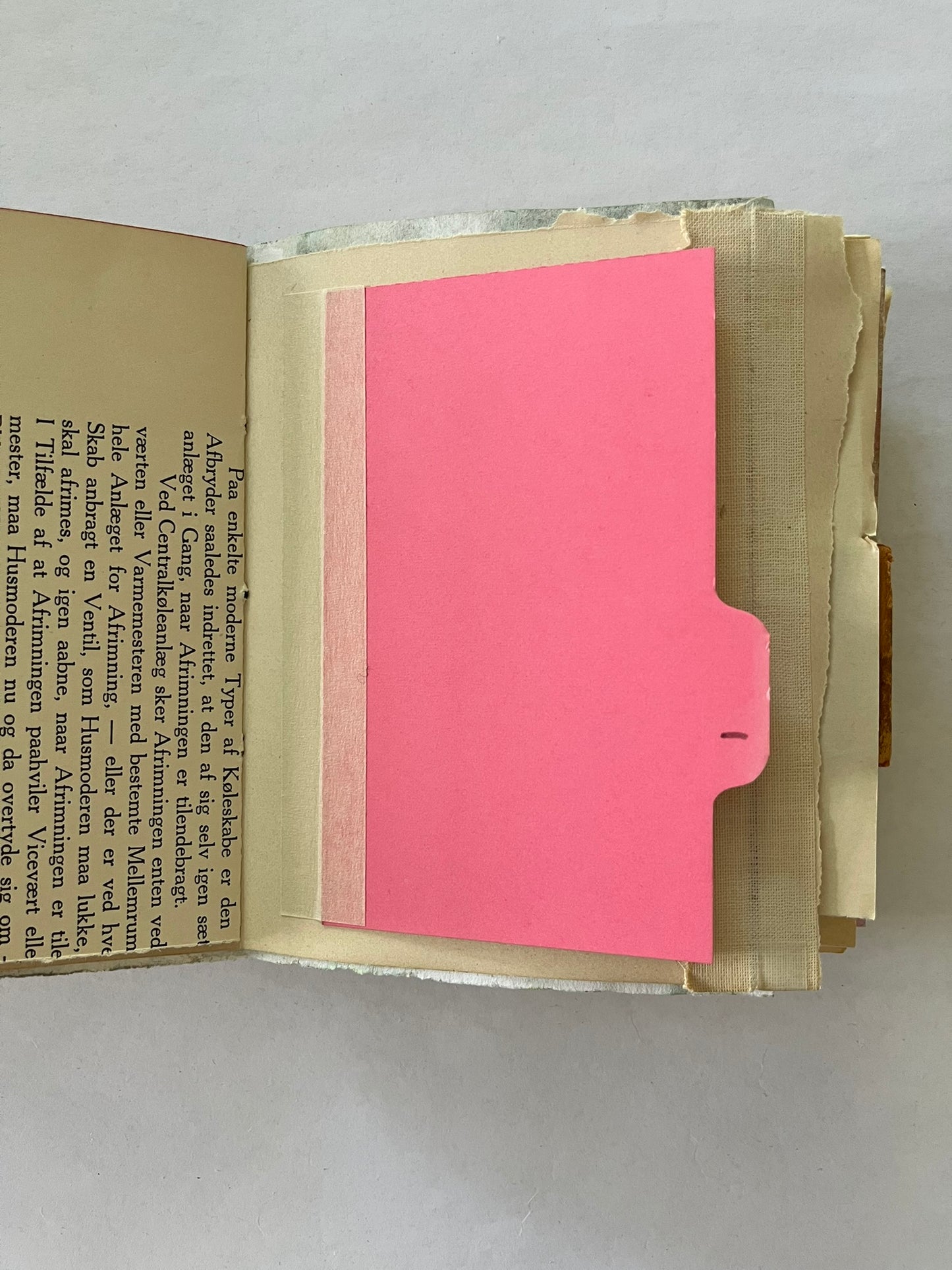 Nature/Garden Journal - no. 2