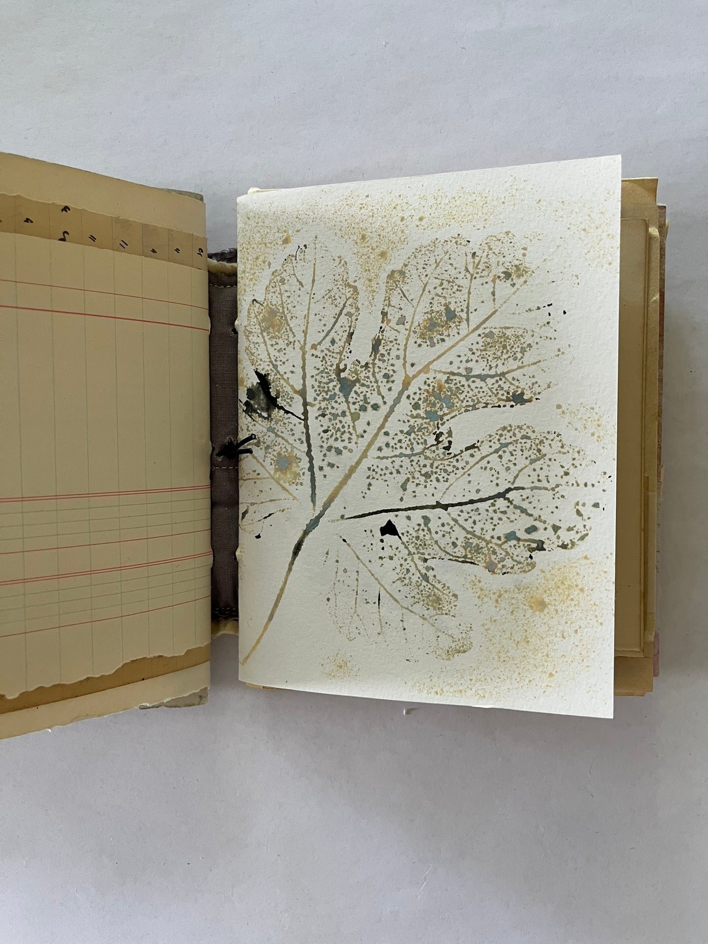 Nature/Garden Journal - no. 2