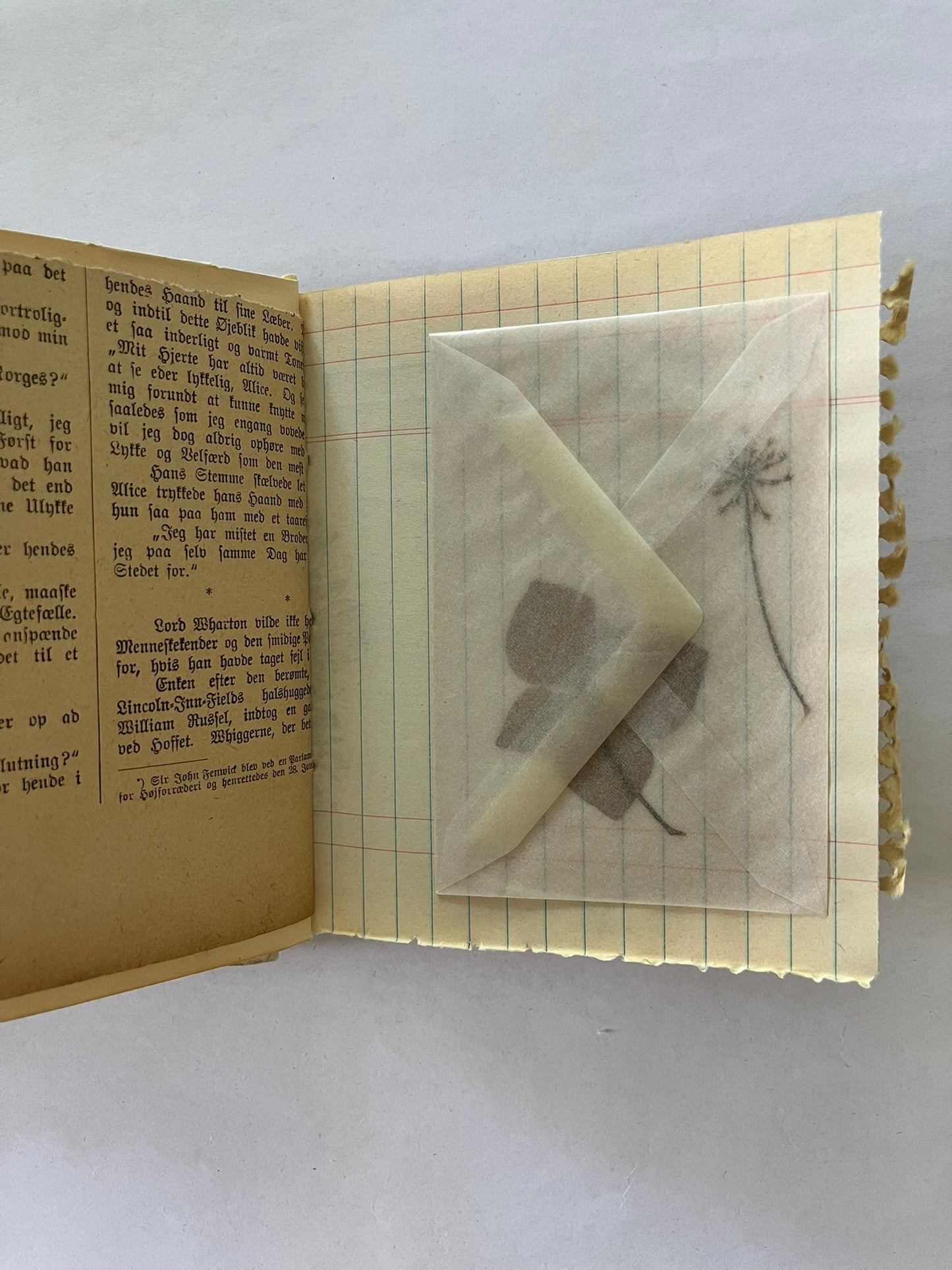 Nature/Garden Journal - no. 2