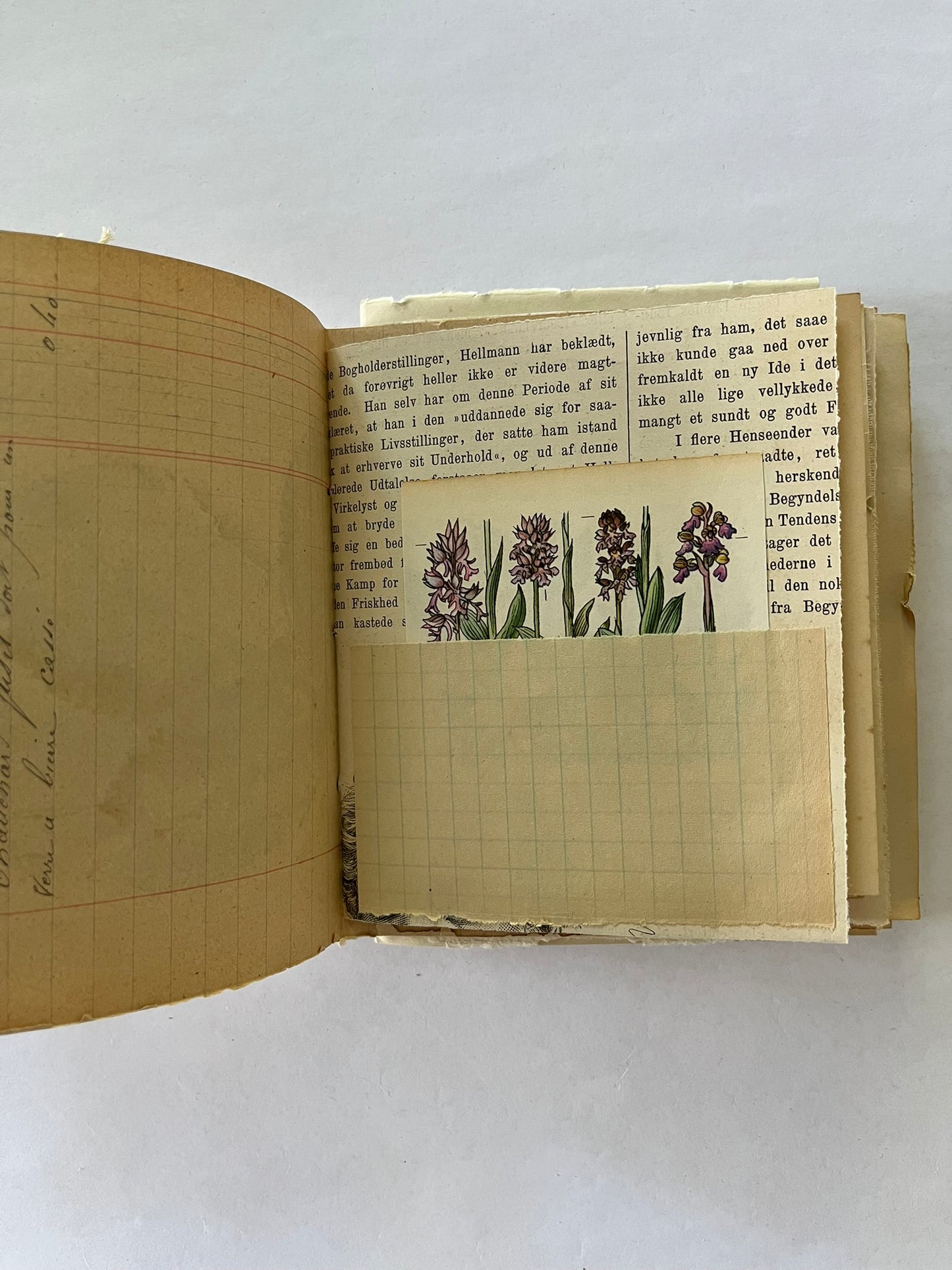 Nature/Garden Journal - no. 3