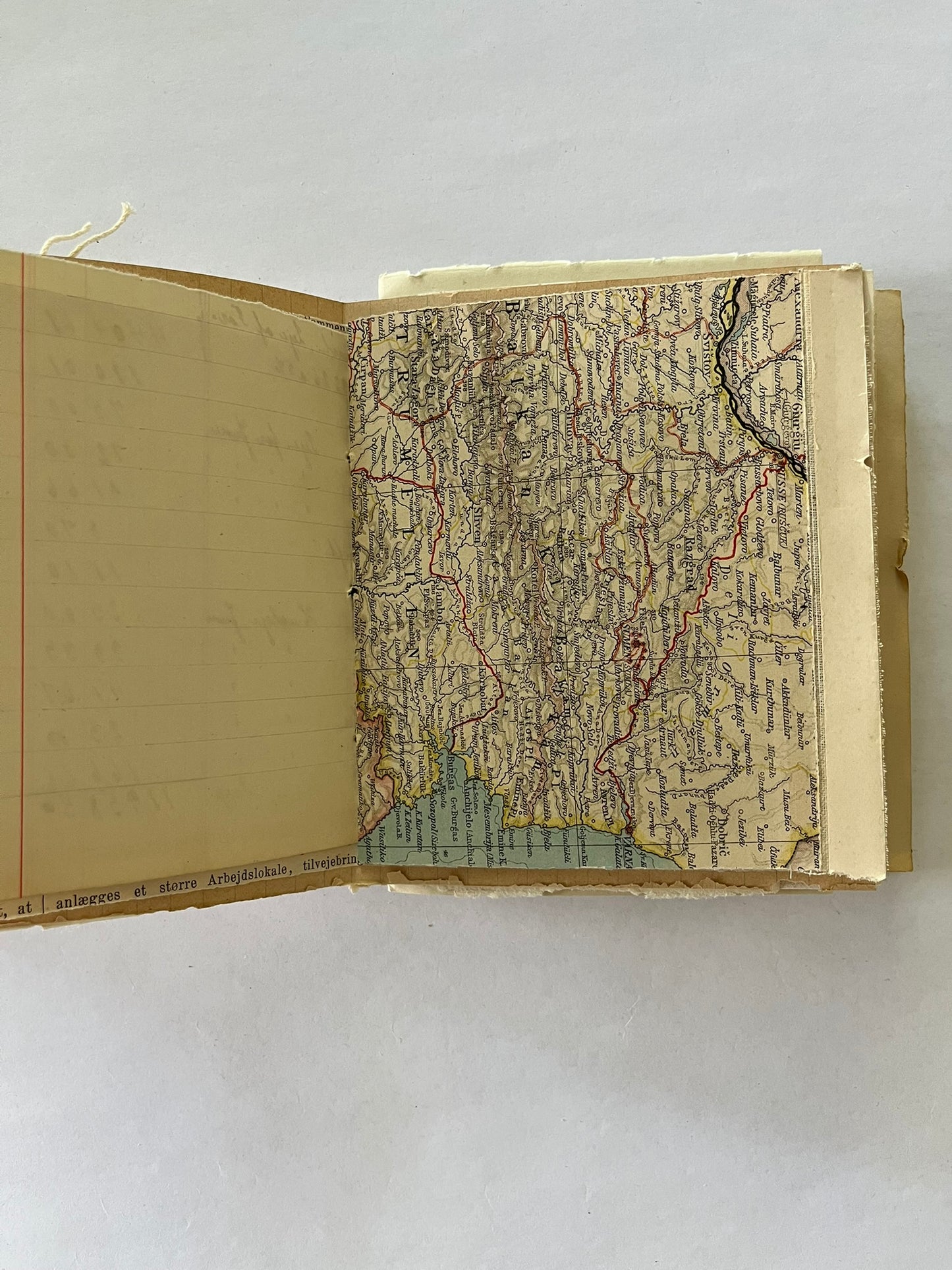 Nature/Garden Journal - no. 3