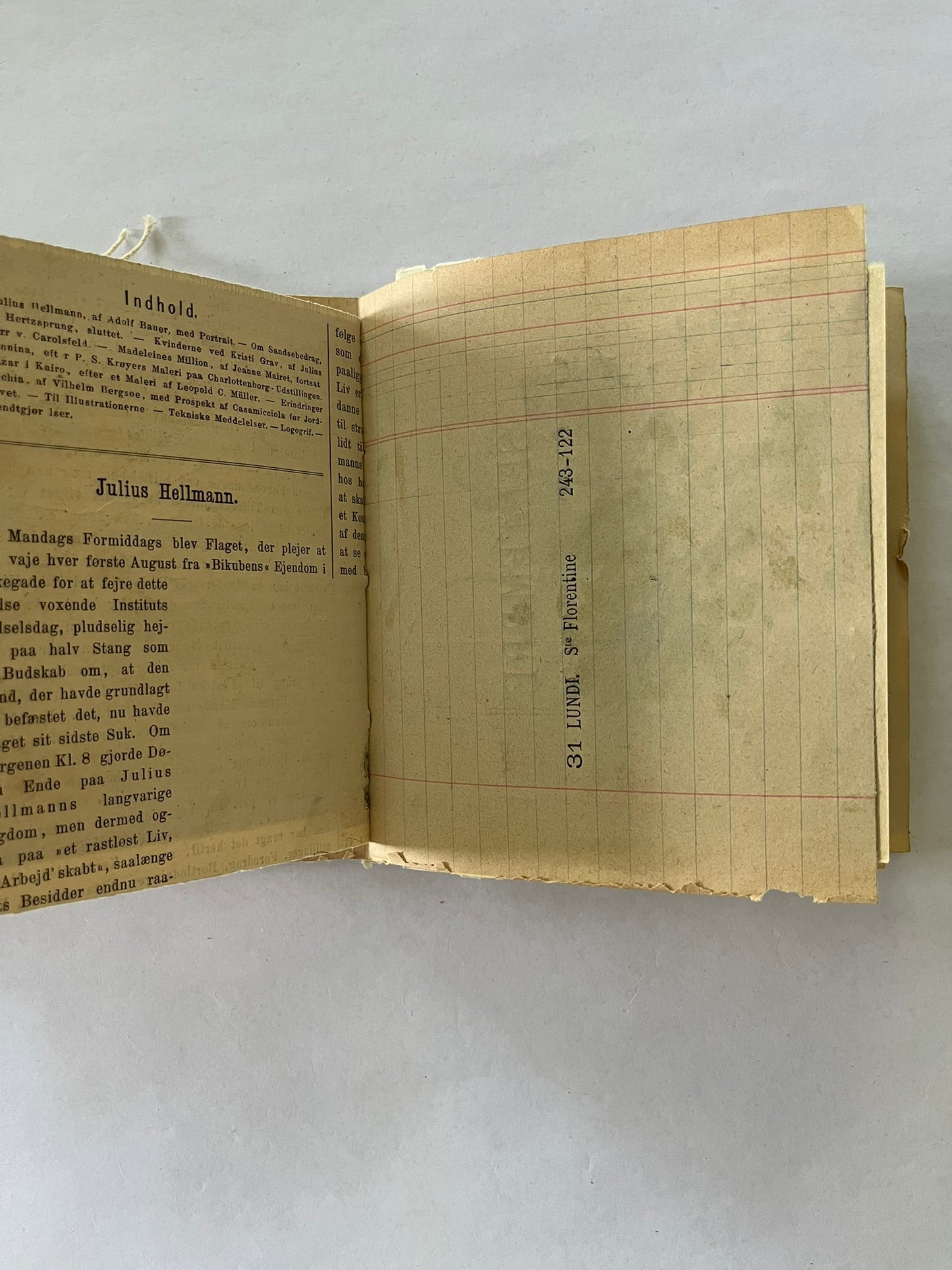 Nature/Garden Journal - no. 3