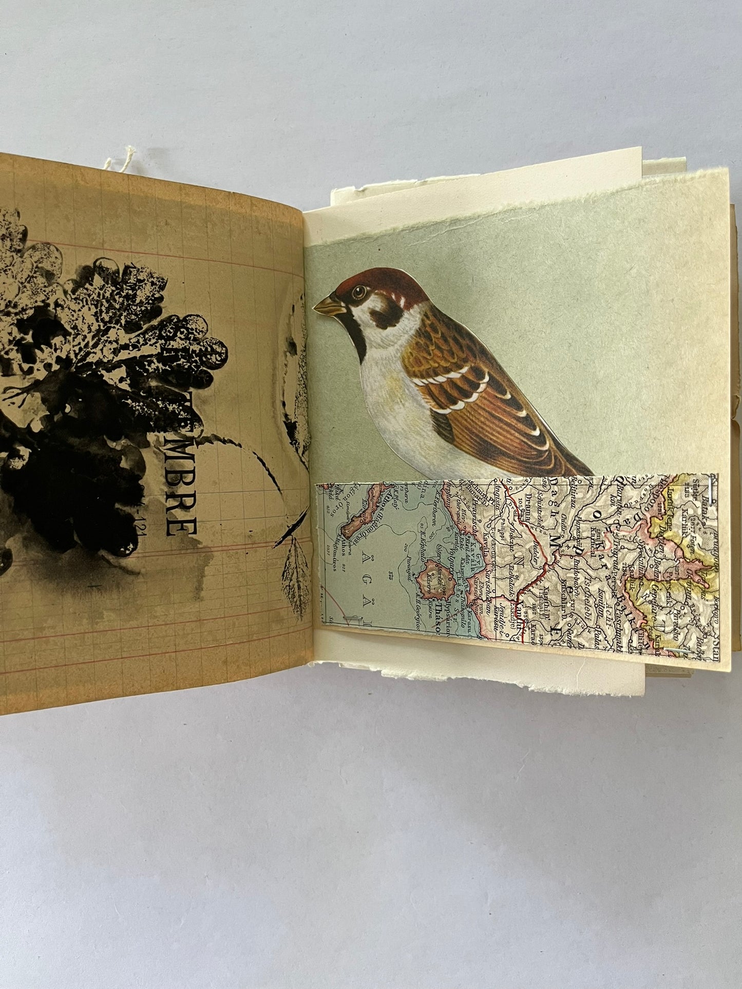Nature/Garden Journal - no. 3