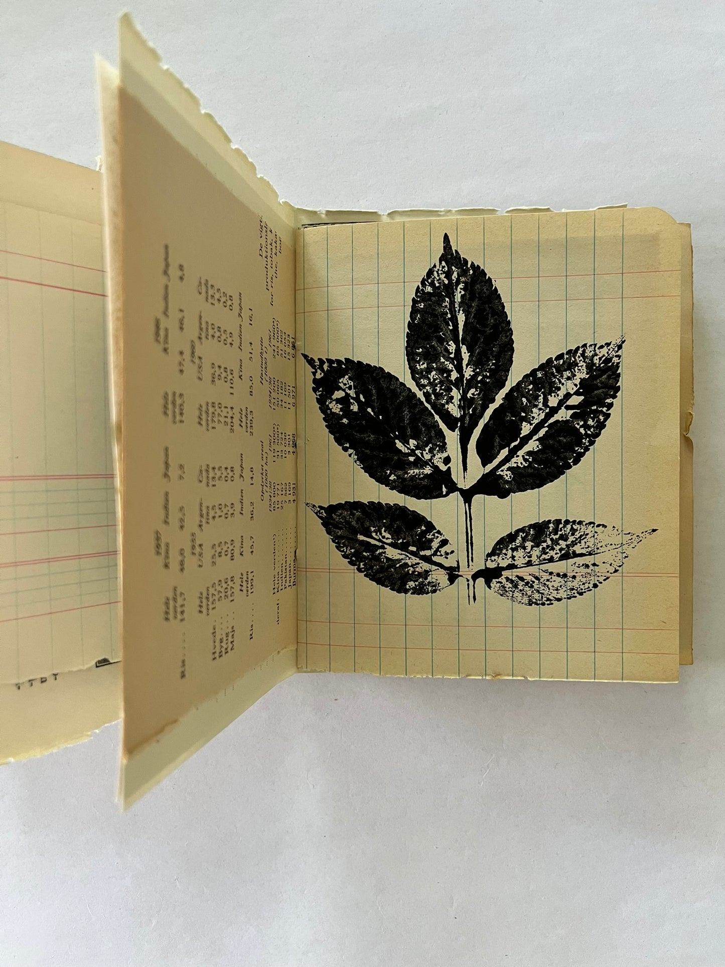 Nature/Garden Journal - no. 3