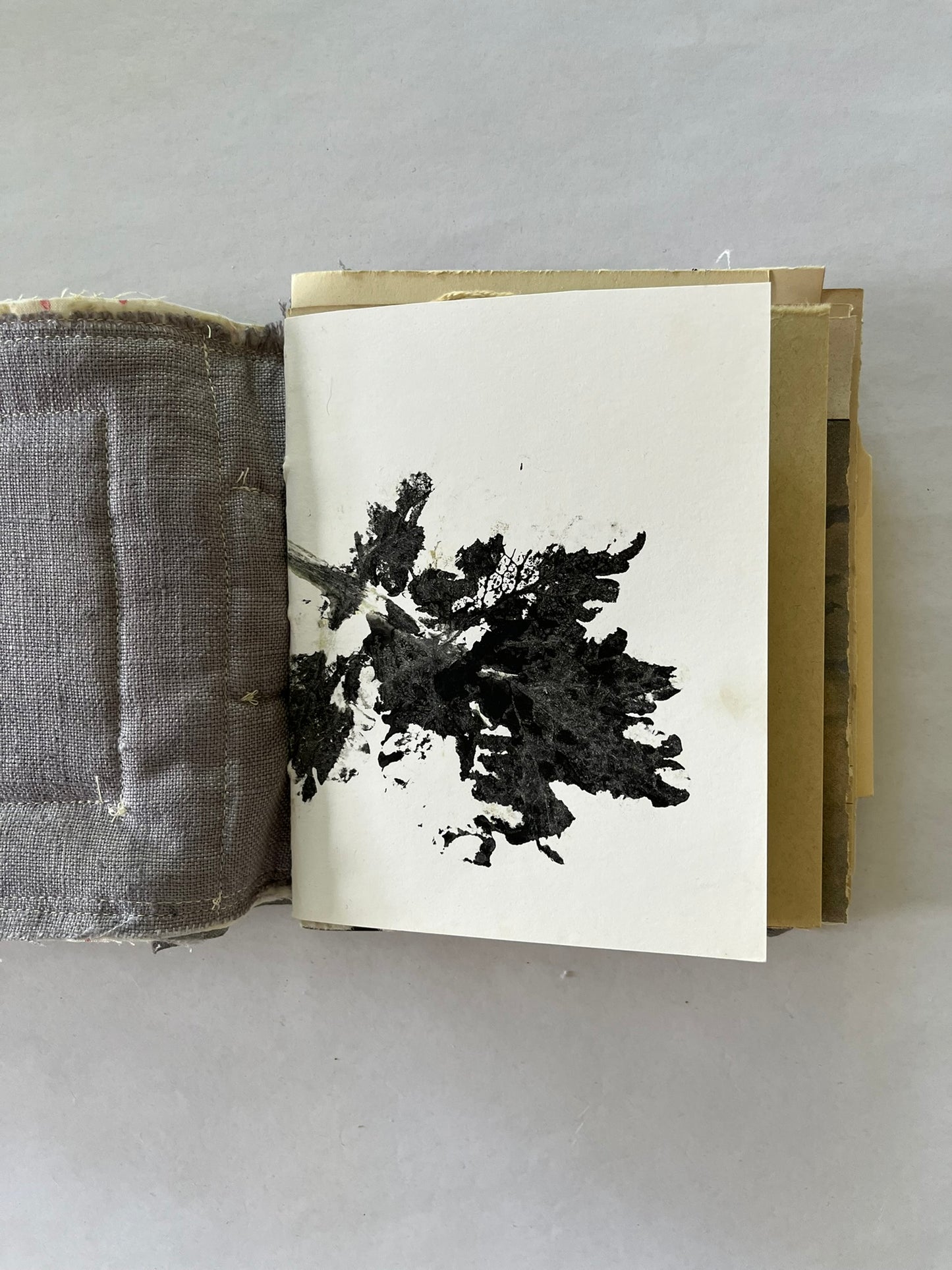 Nature/Garden Journal - no. 4
