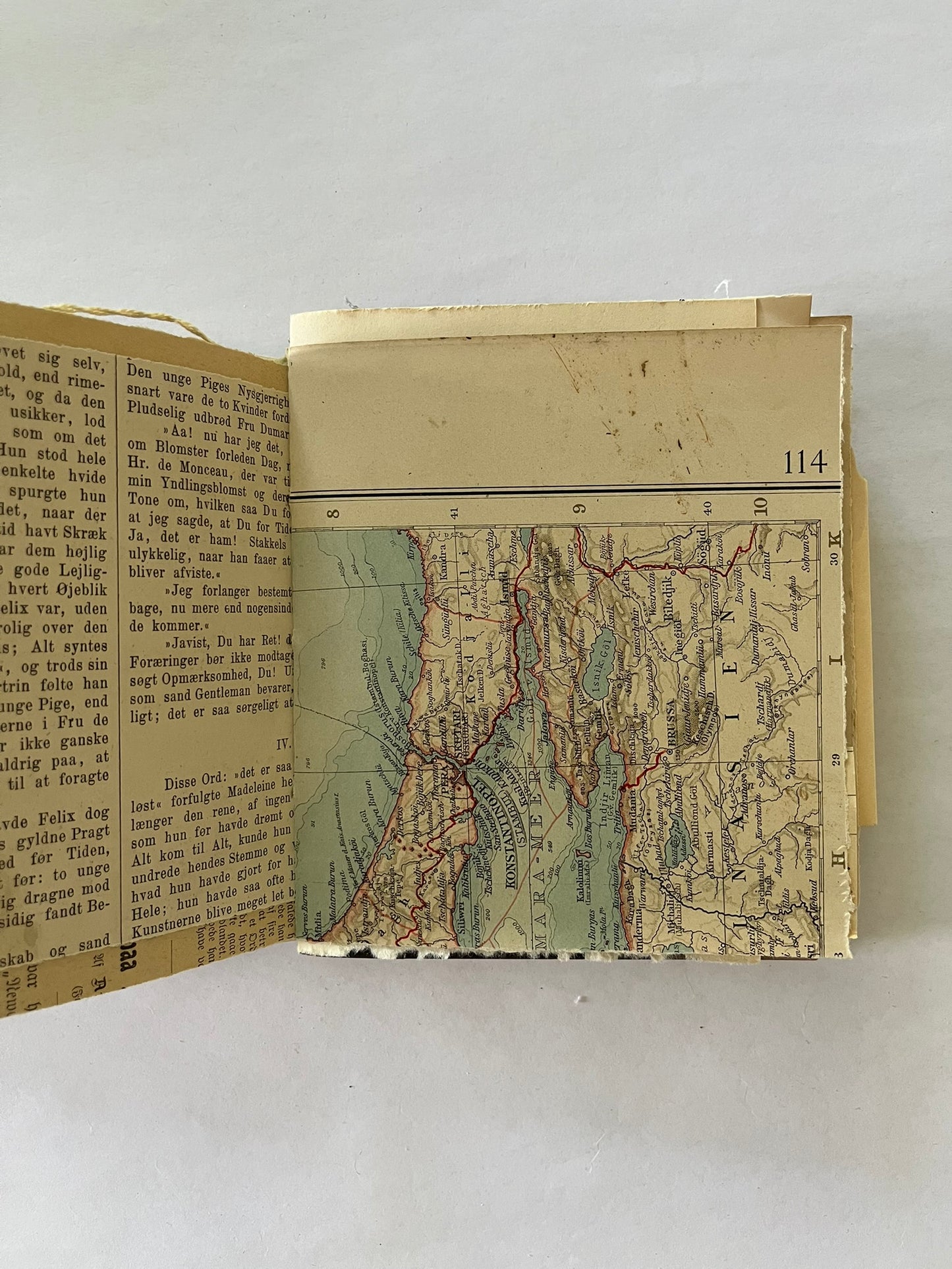 Nature/Garden Journal - no. 4