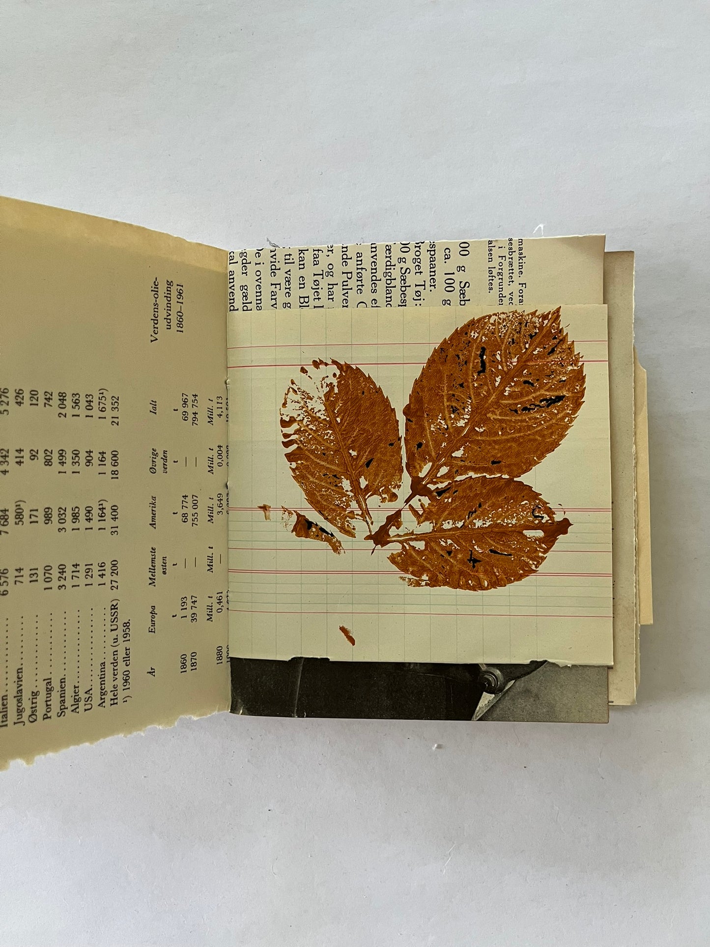Nature/Garden Journal - no. 4