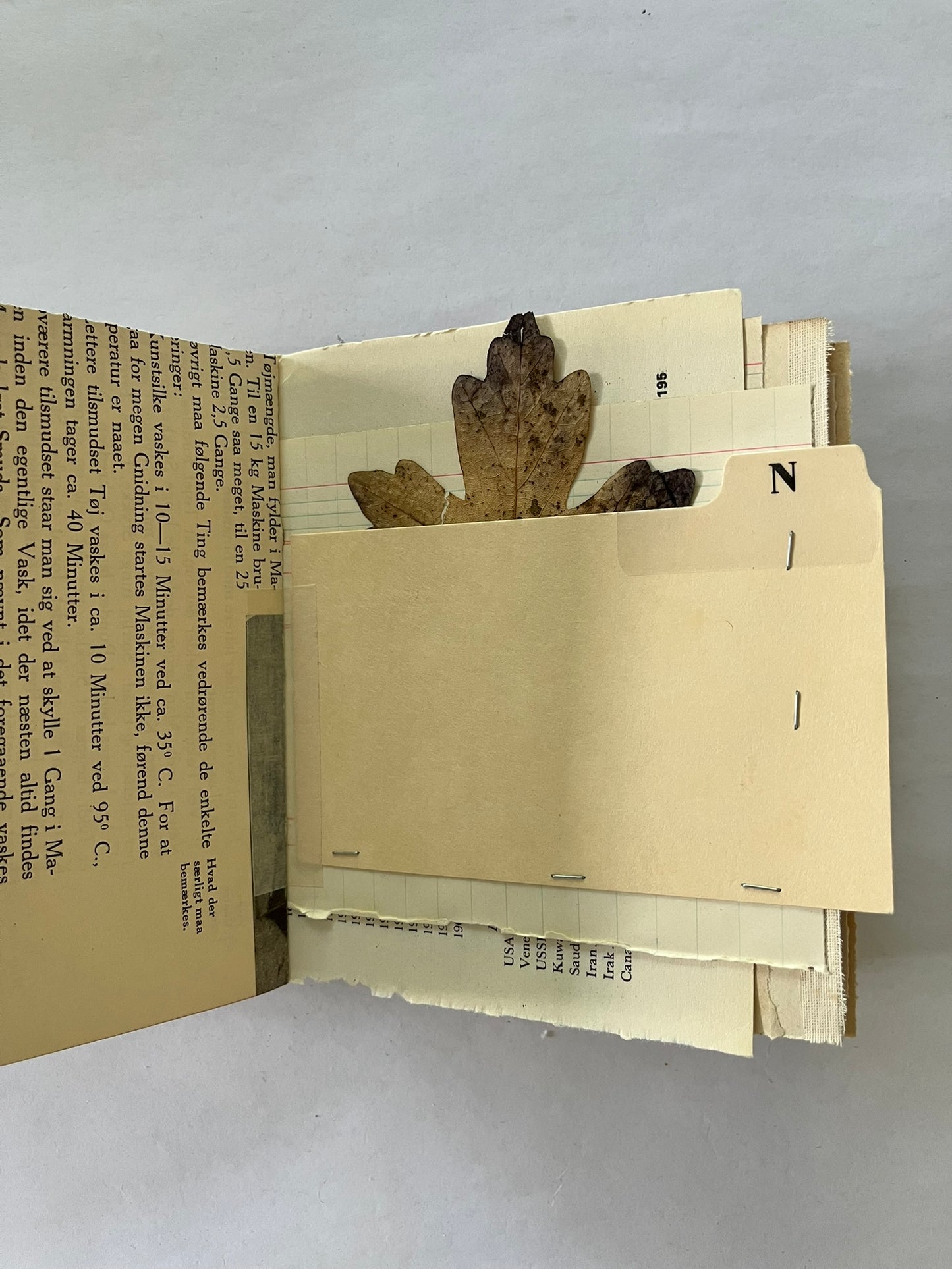 Nature/Garden Journal - no. 4