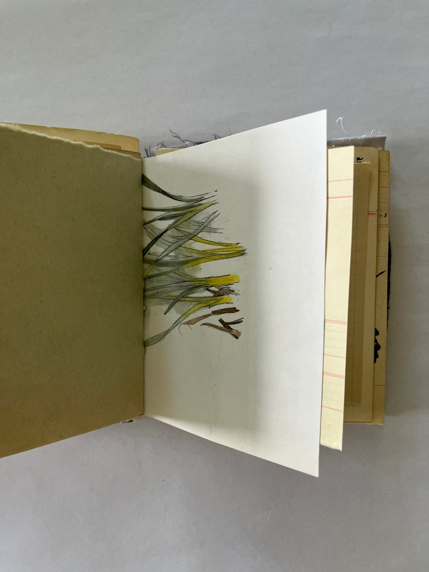 Nature/Garden Journal - no. 4