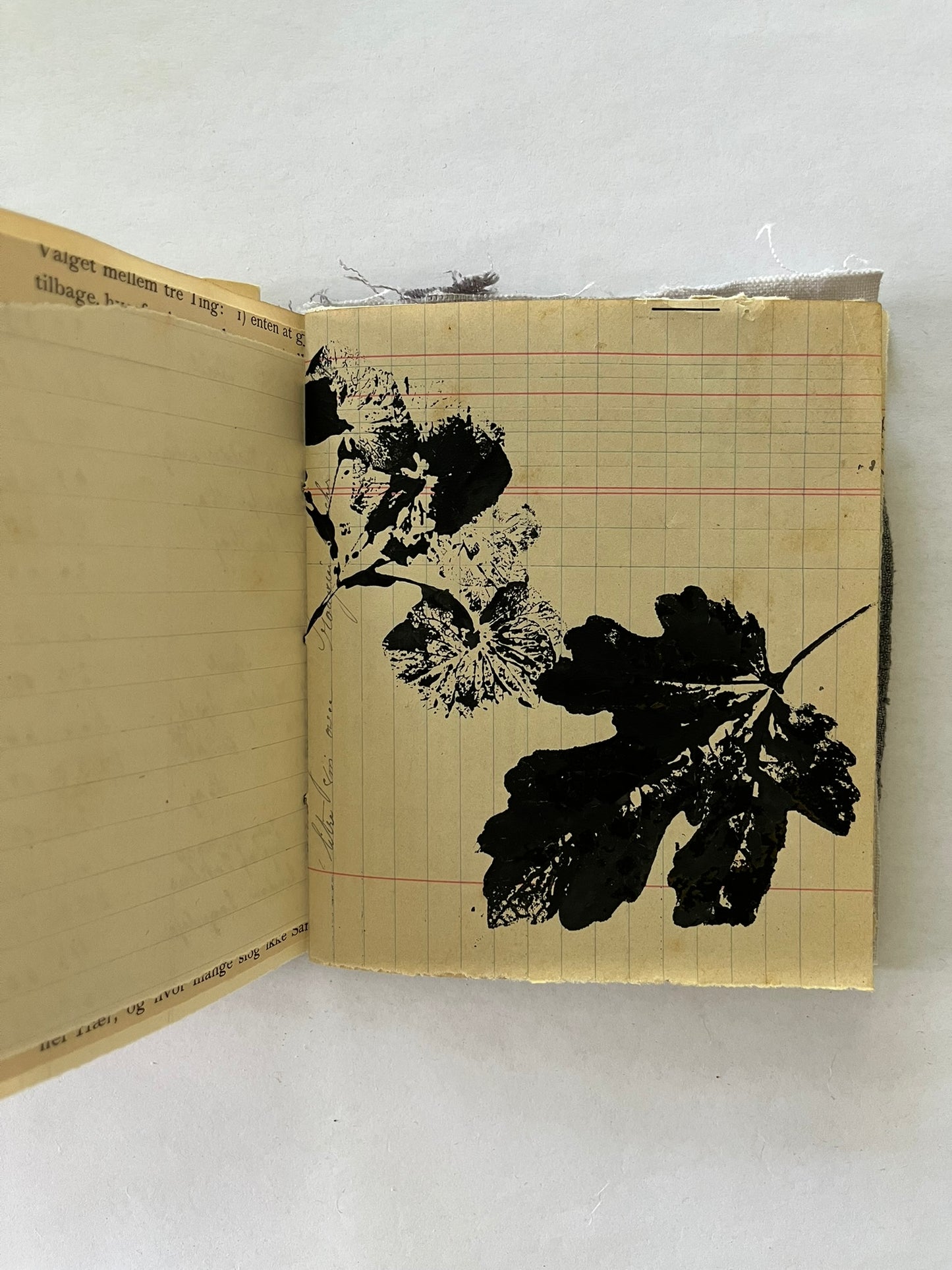 Nature/Garden Journal - no. 4