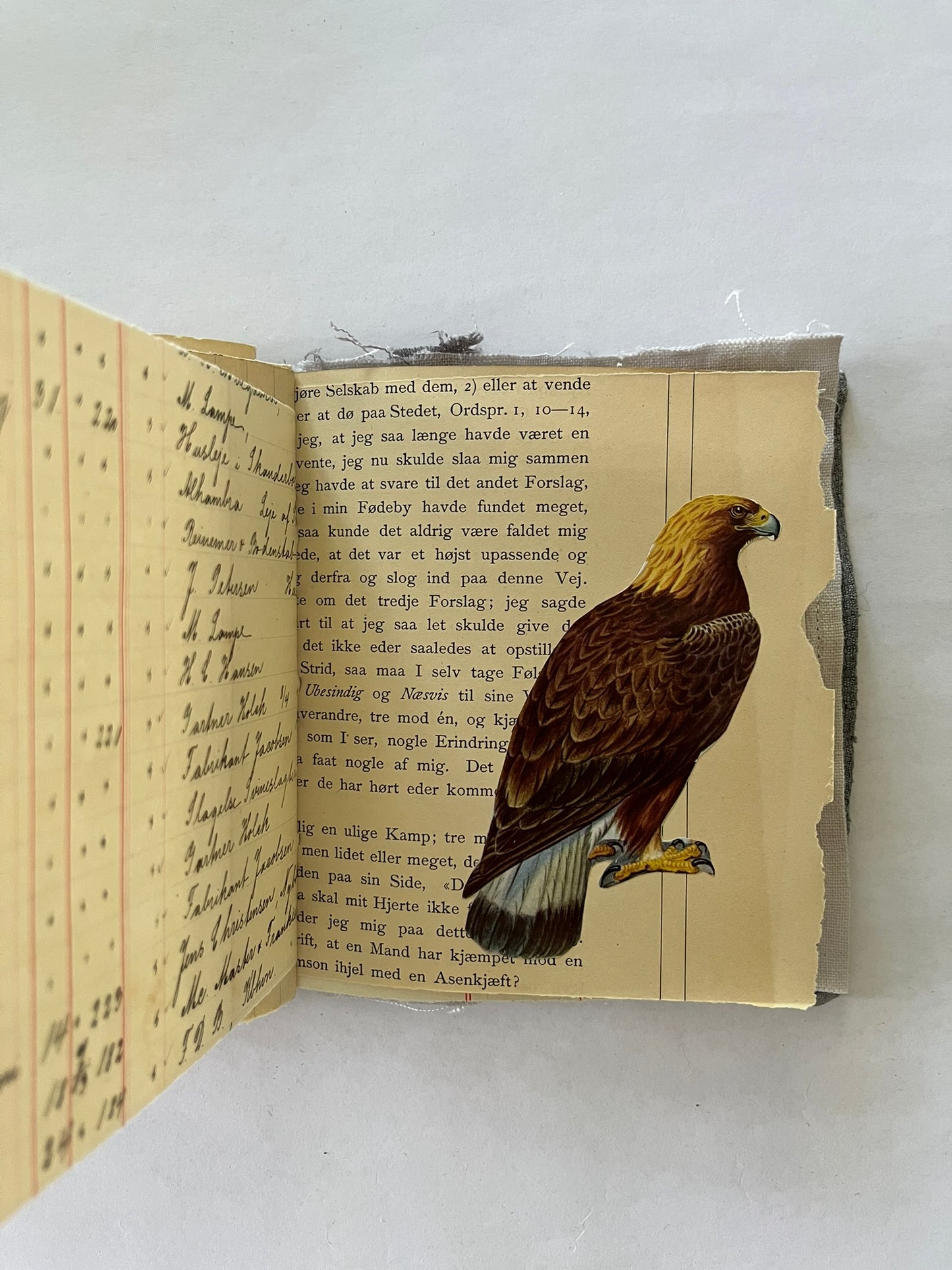 Nature/Garden Journal - no. 4