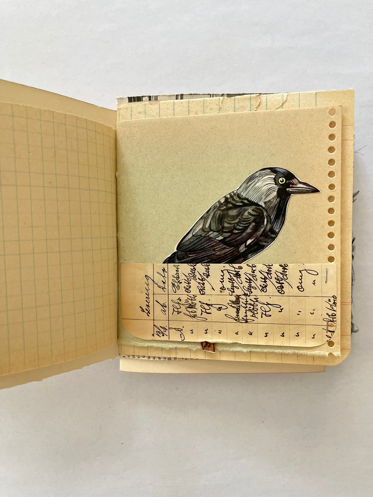 Nature/Garden Journal - no. 5