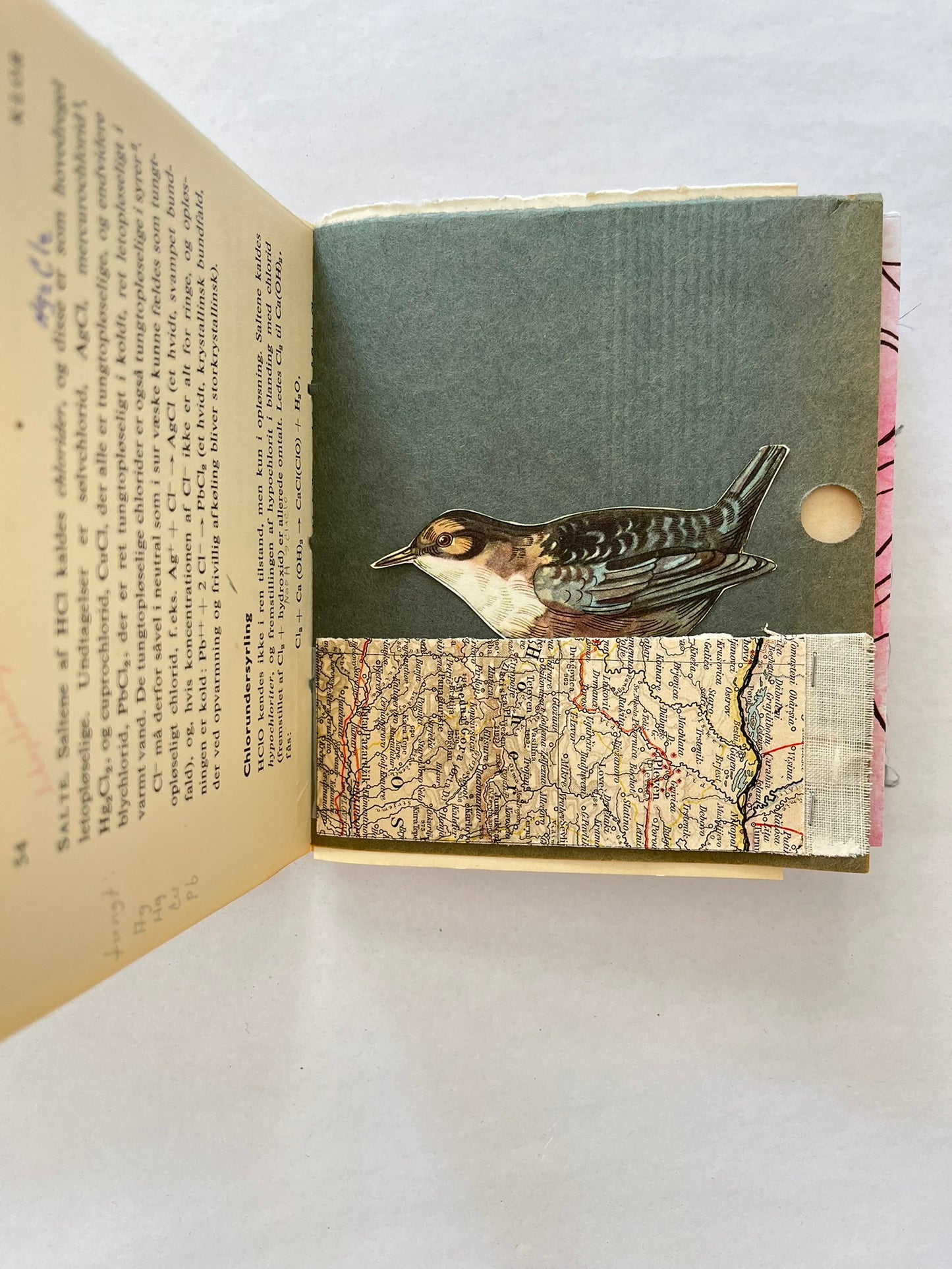 Nature/Garden Journal - no. 5