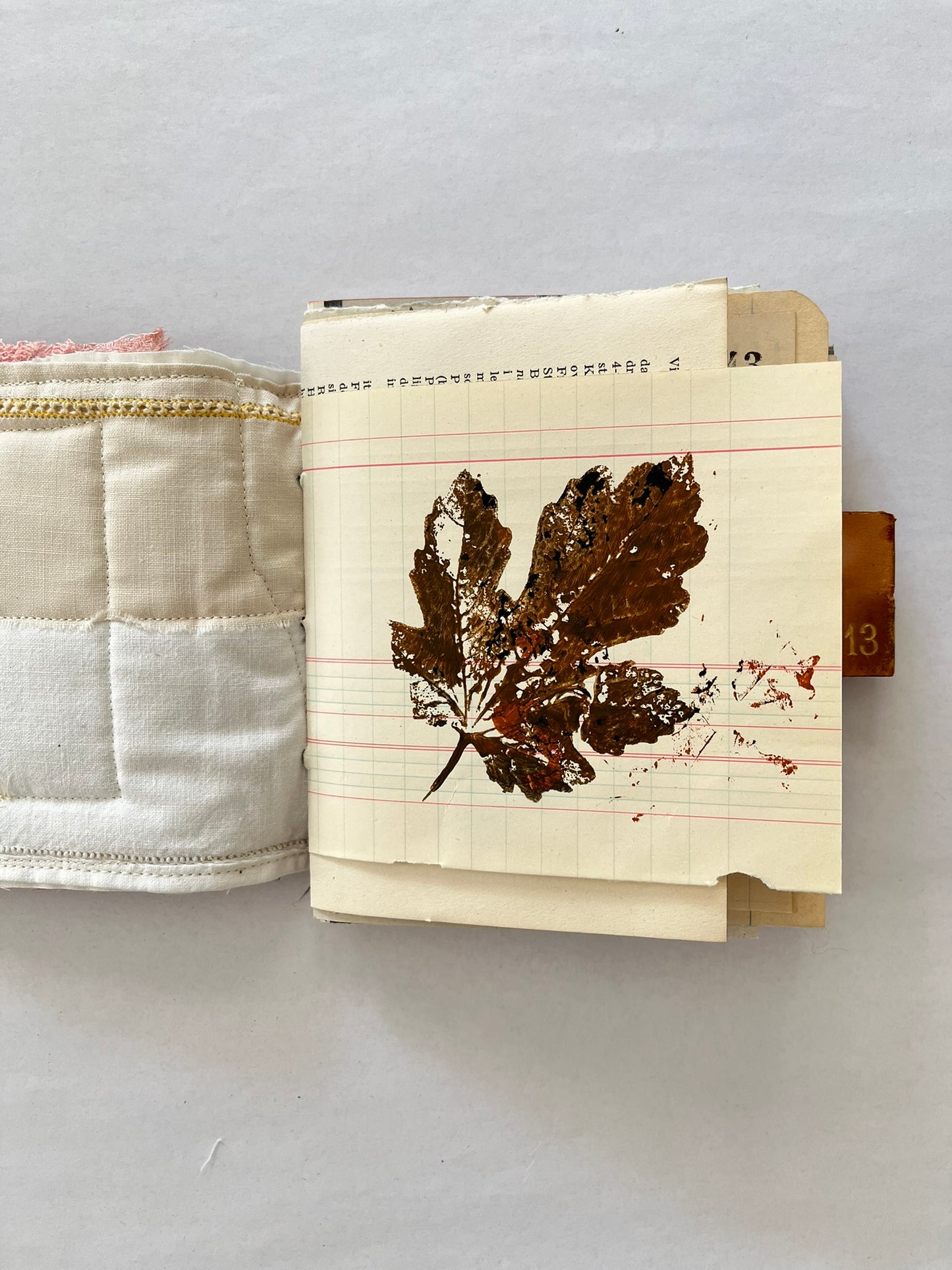 Nature/Garden Journal - no. 6